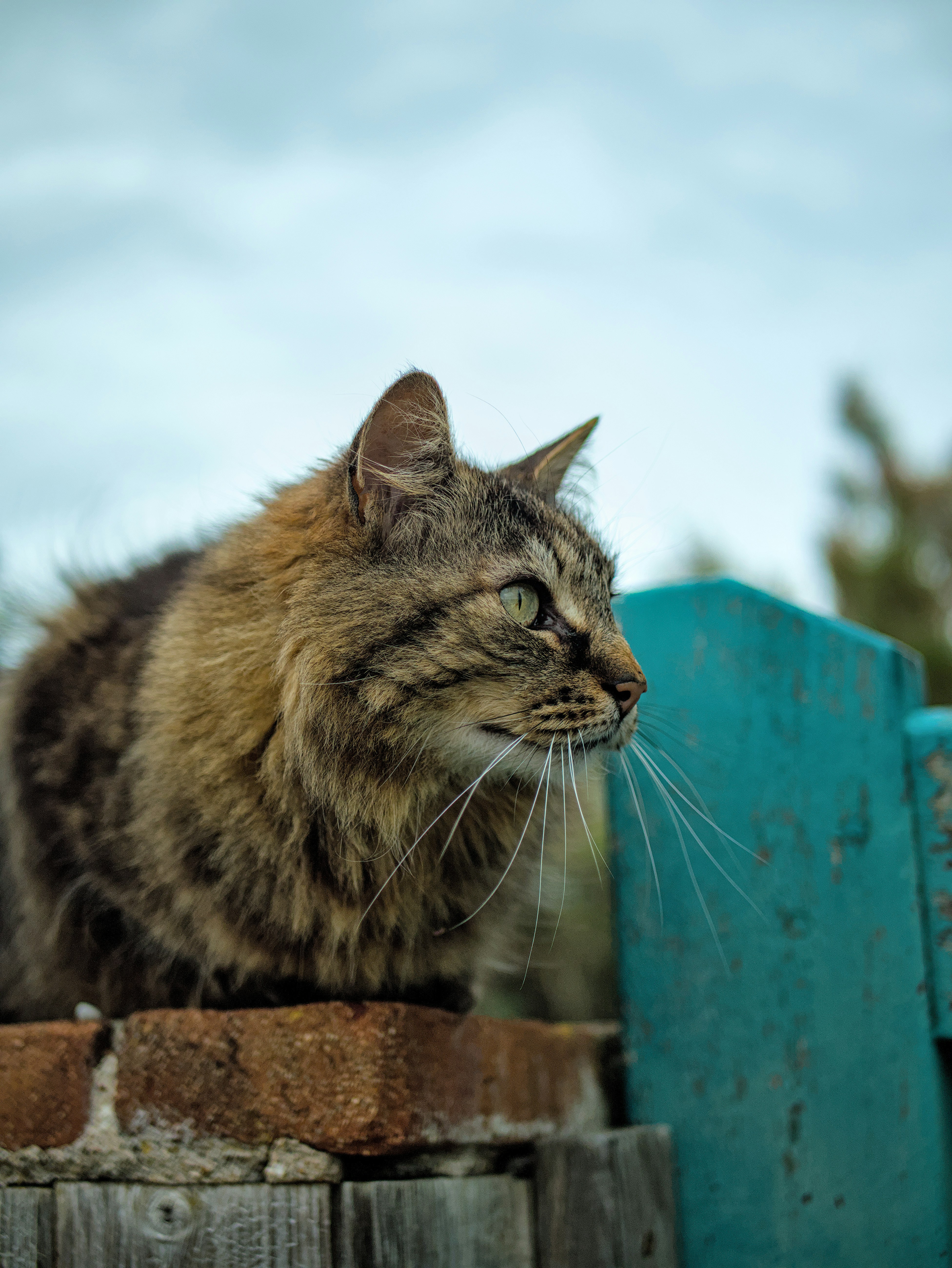 Personal Space: Respecting Boundaries in Stillness (image credits: unsplash)