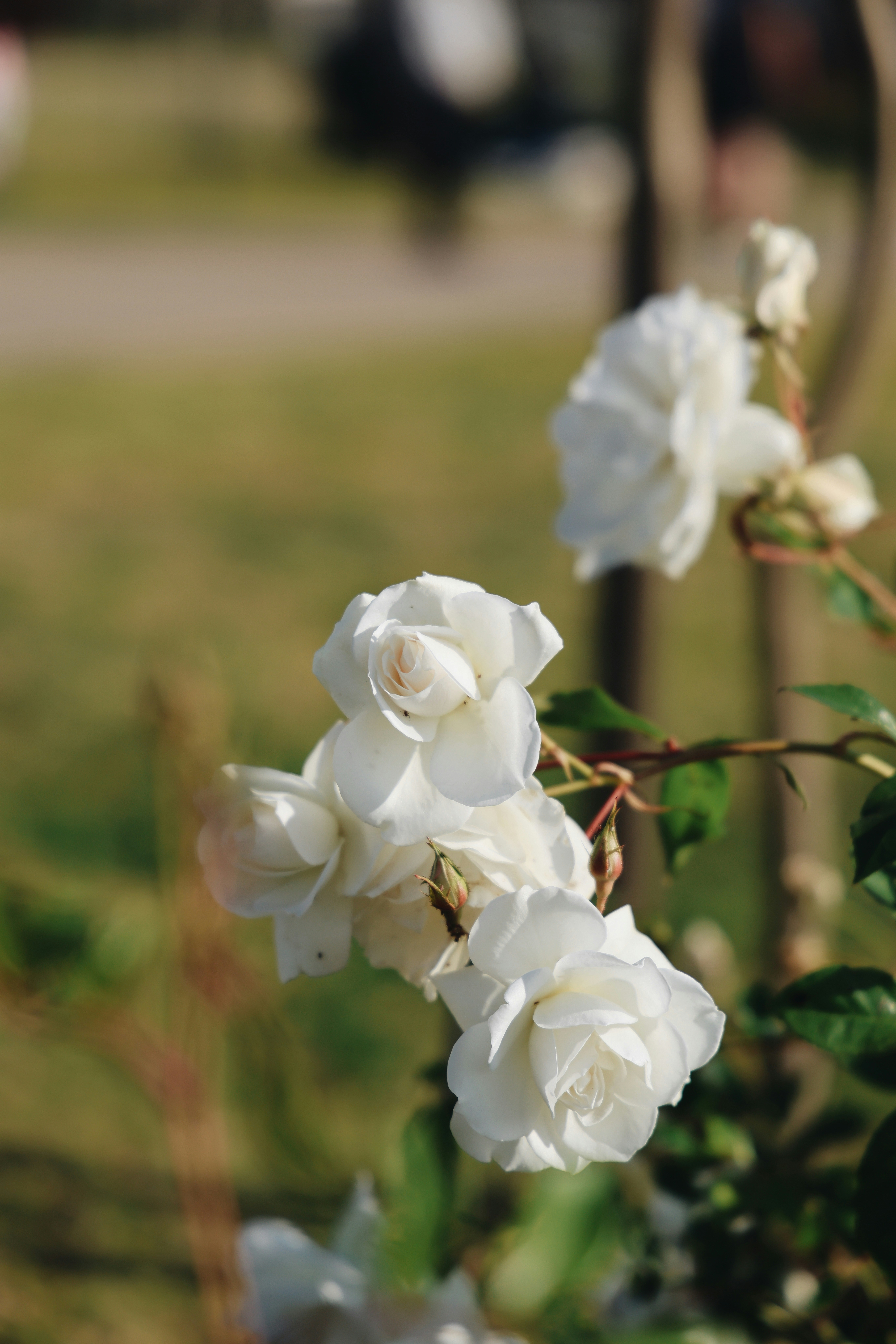 Photo by keziastone18