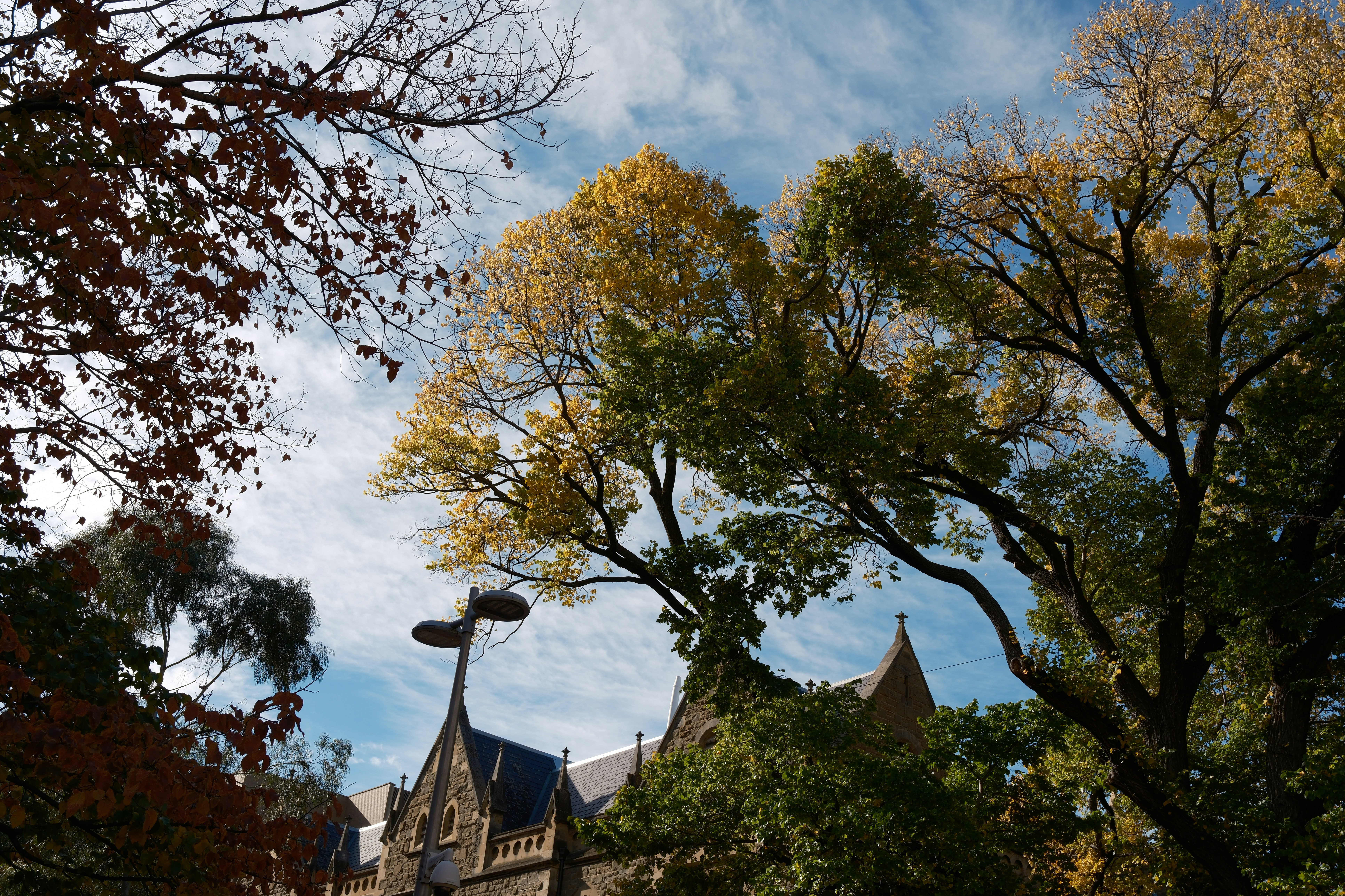 Outsiders Crash Yale's Elite Classroom, Redefining Higher Ed