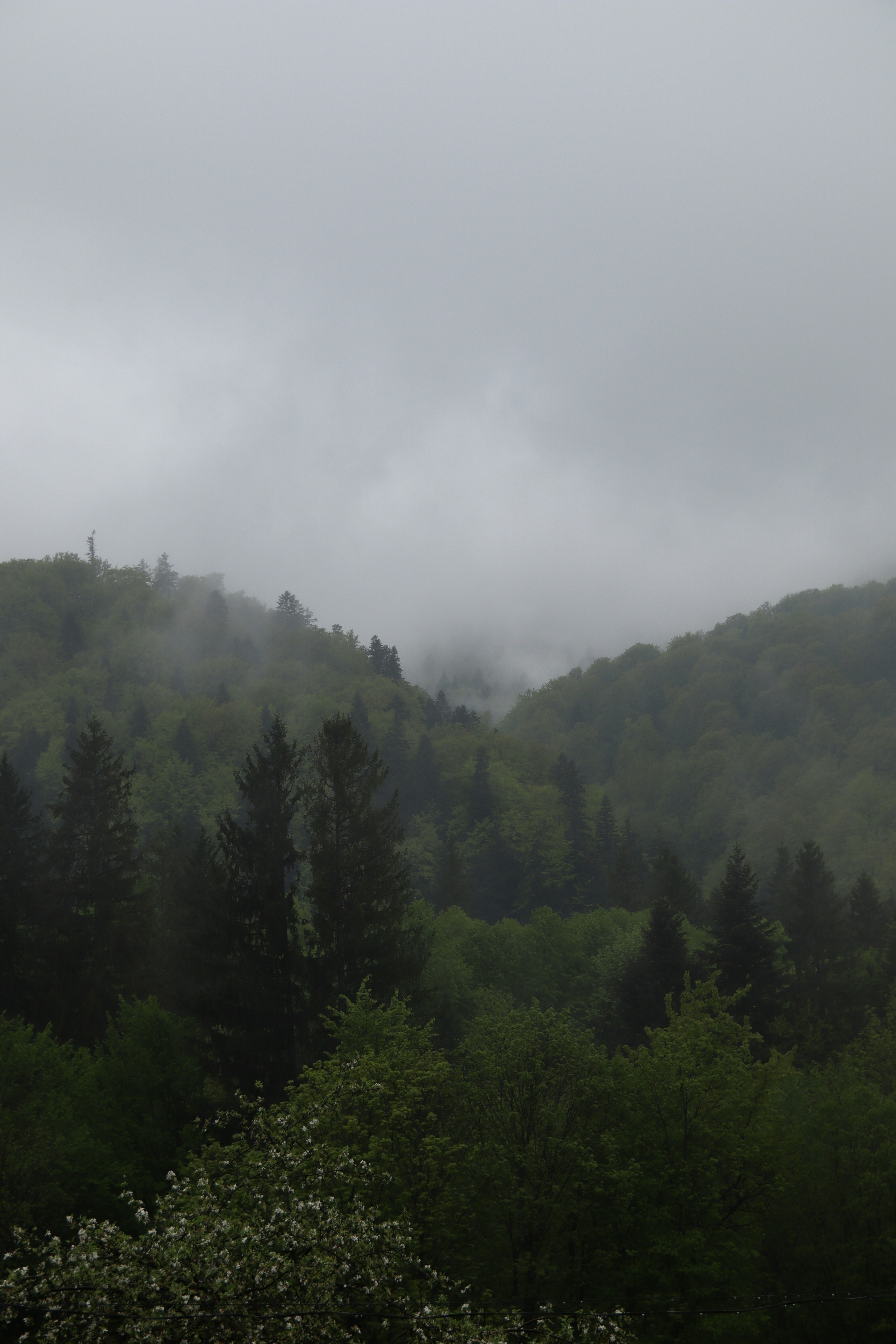 Photo by feeling_hope