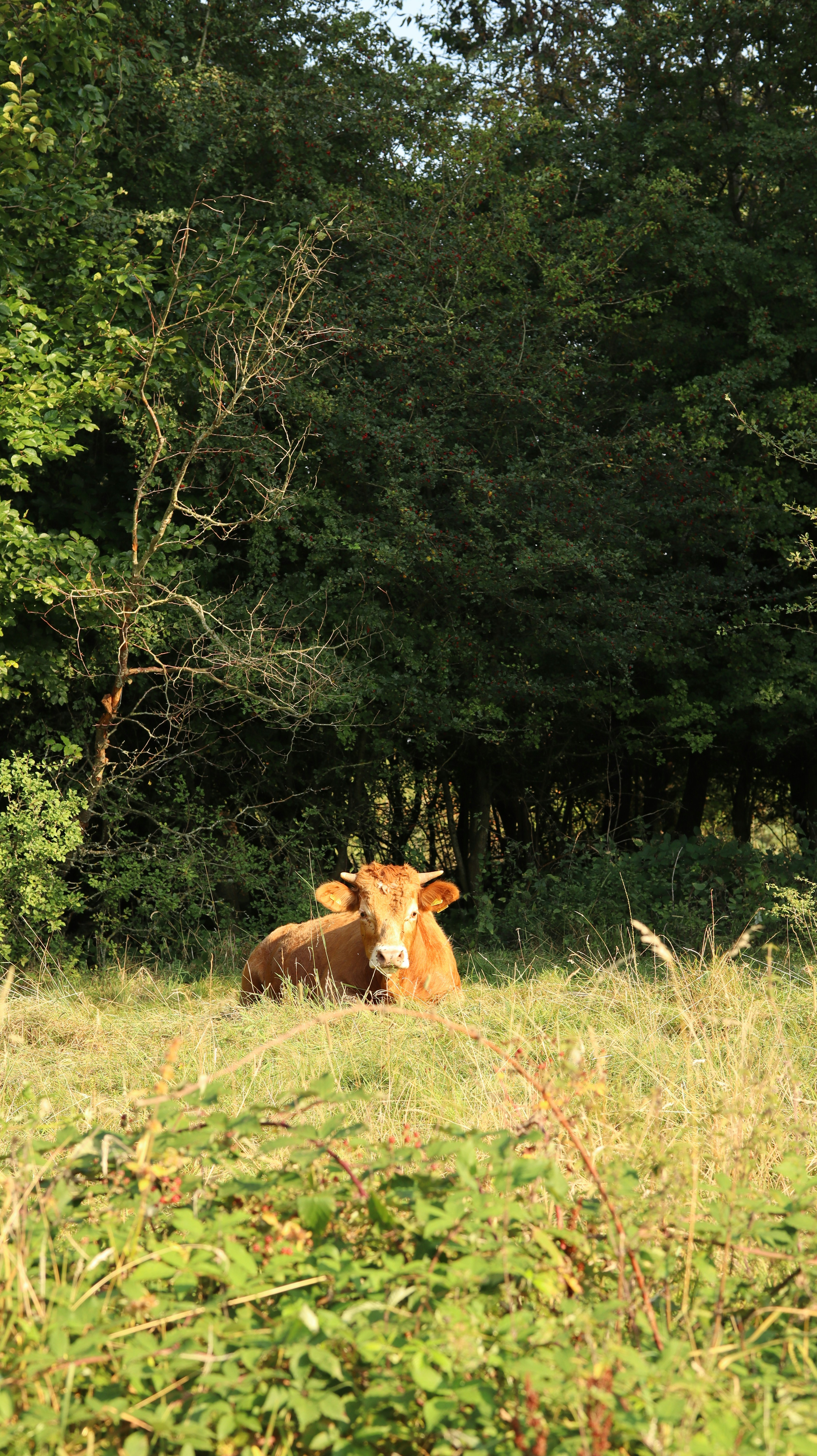 Photo by designwithamission