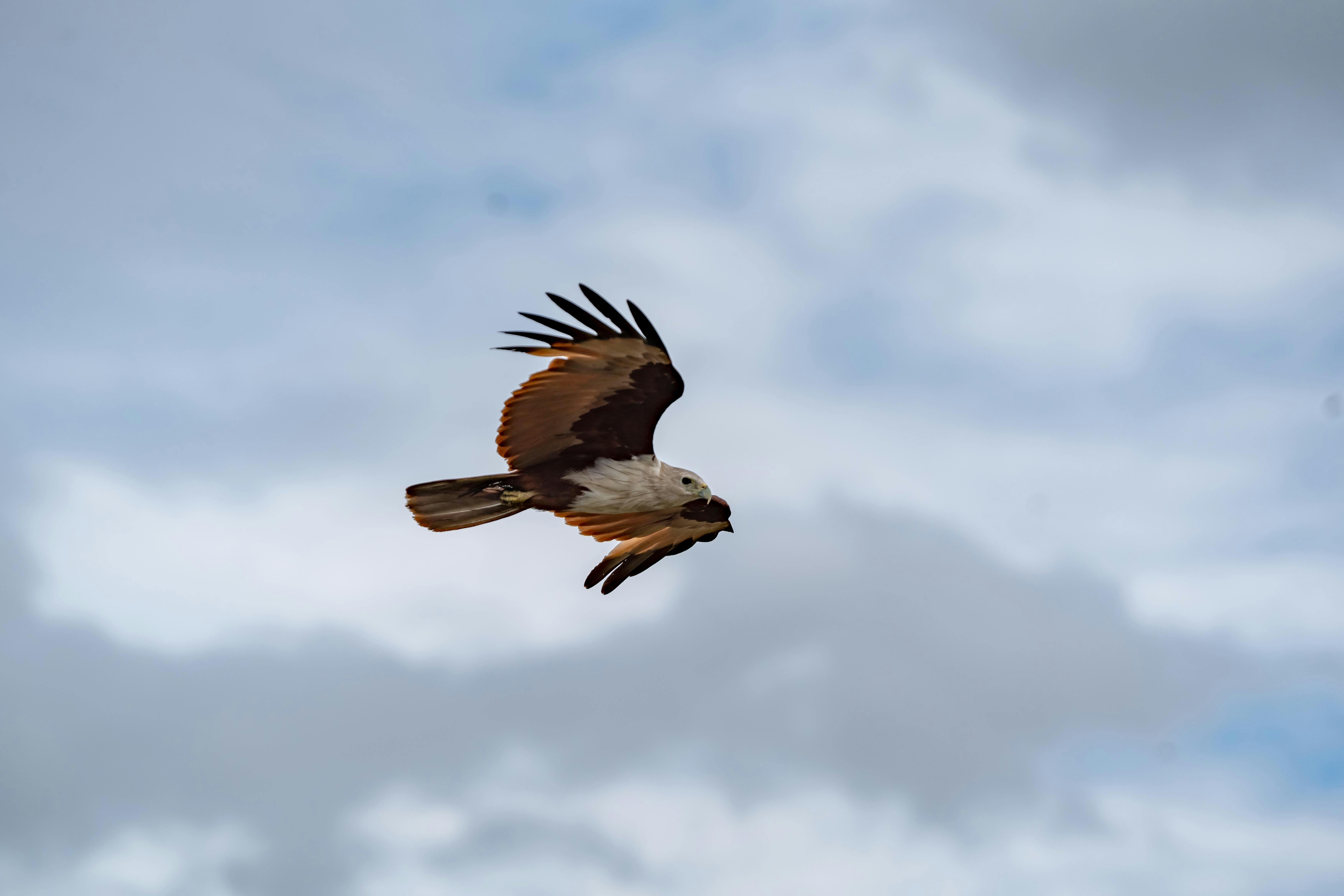 Photo by anil_sharma_india