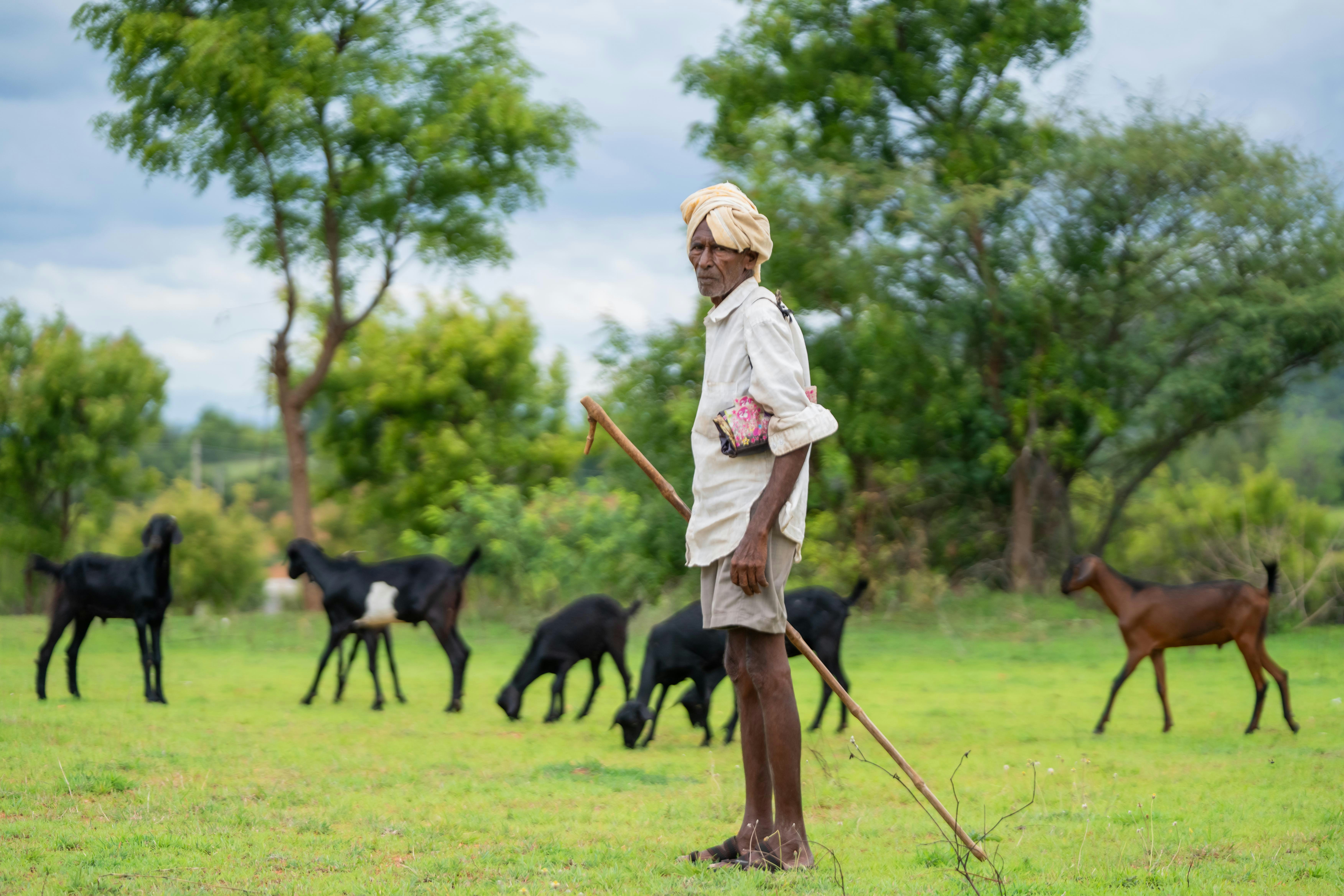 Photo by anil_sharma_india