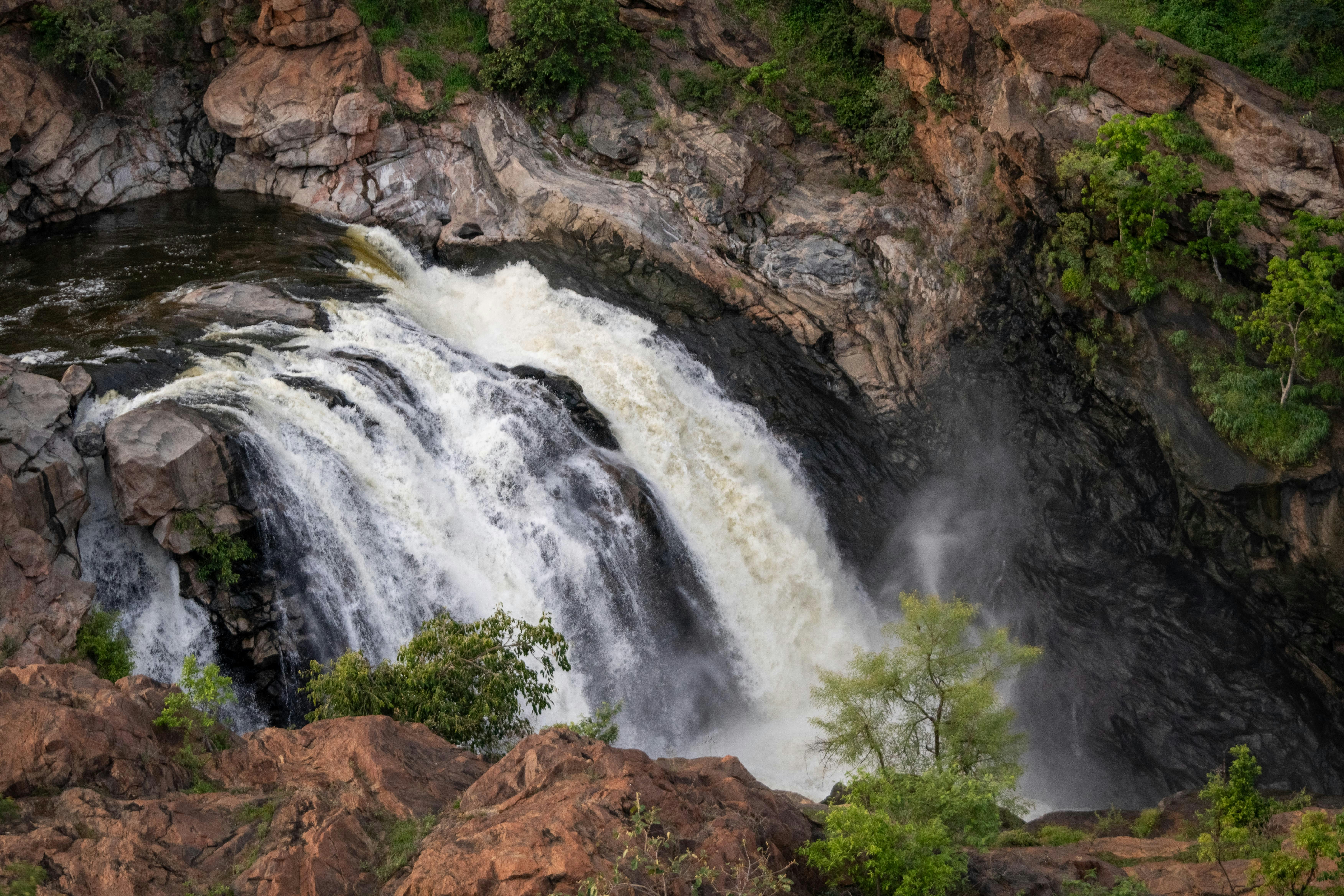 Photo by anil_sharma_india