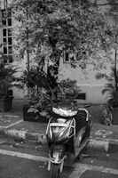 A scooter is parked in front of some foliage.