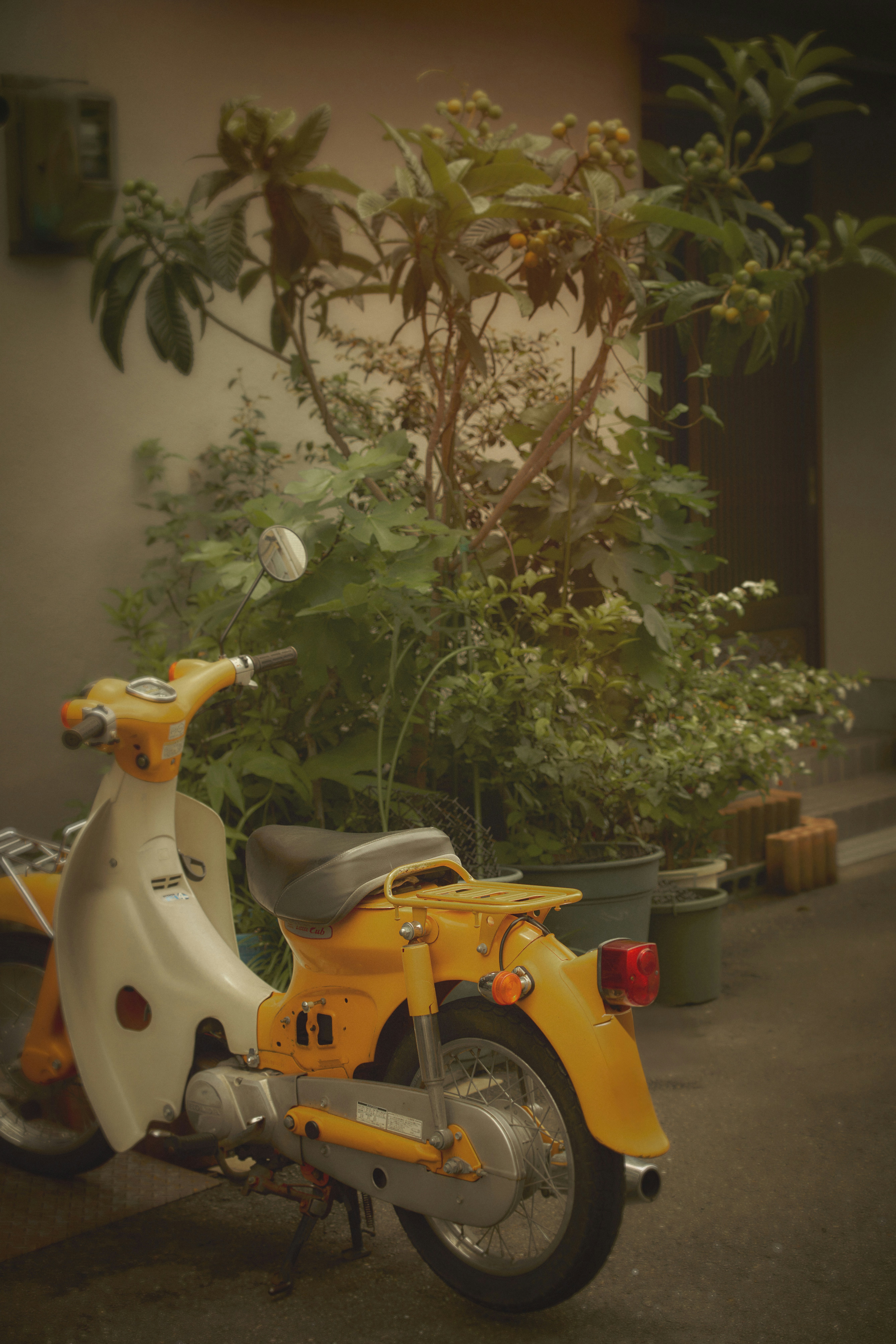 Photo by stbuddyp
