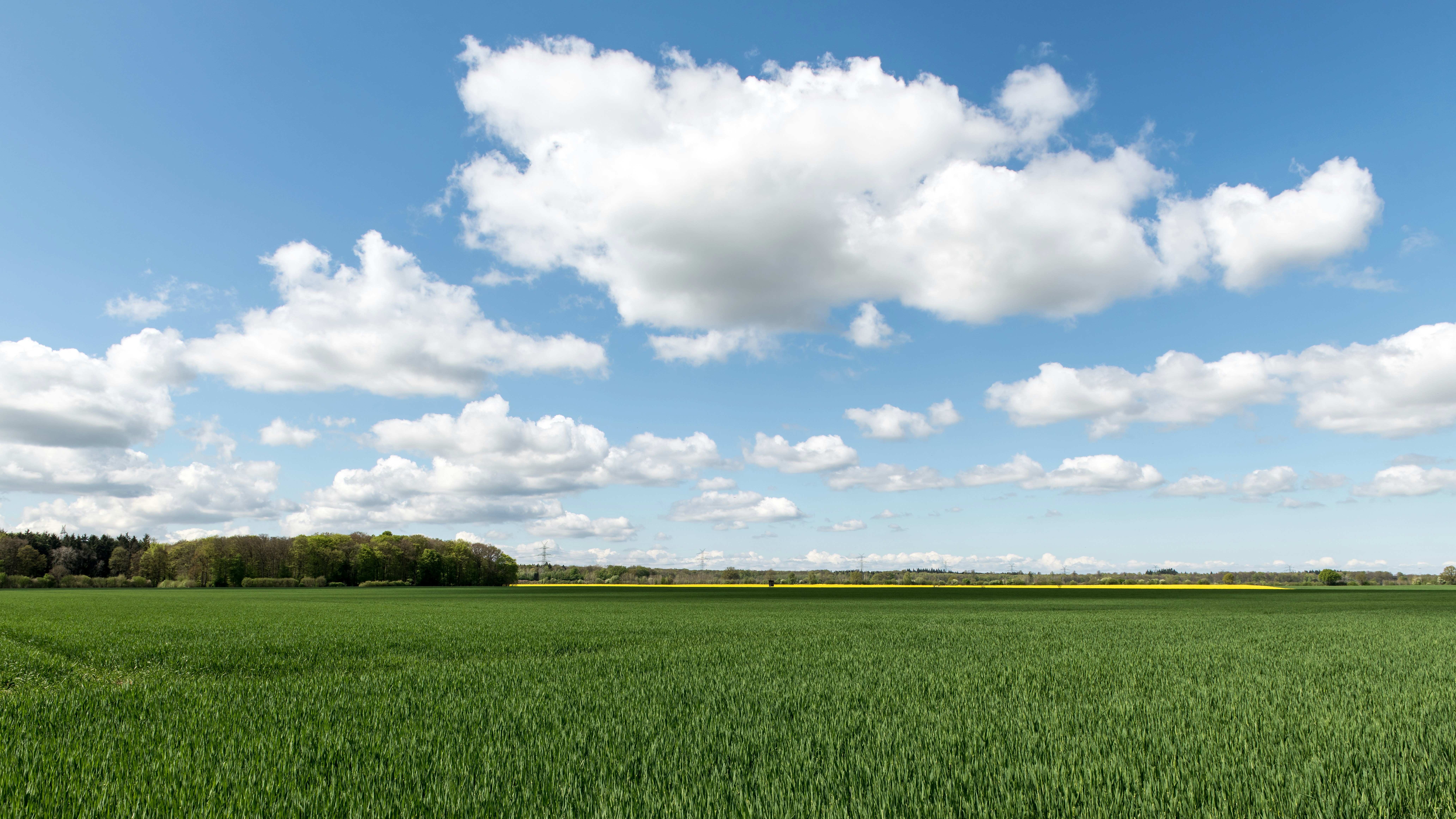 Photo by hamburgmeinefreundin