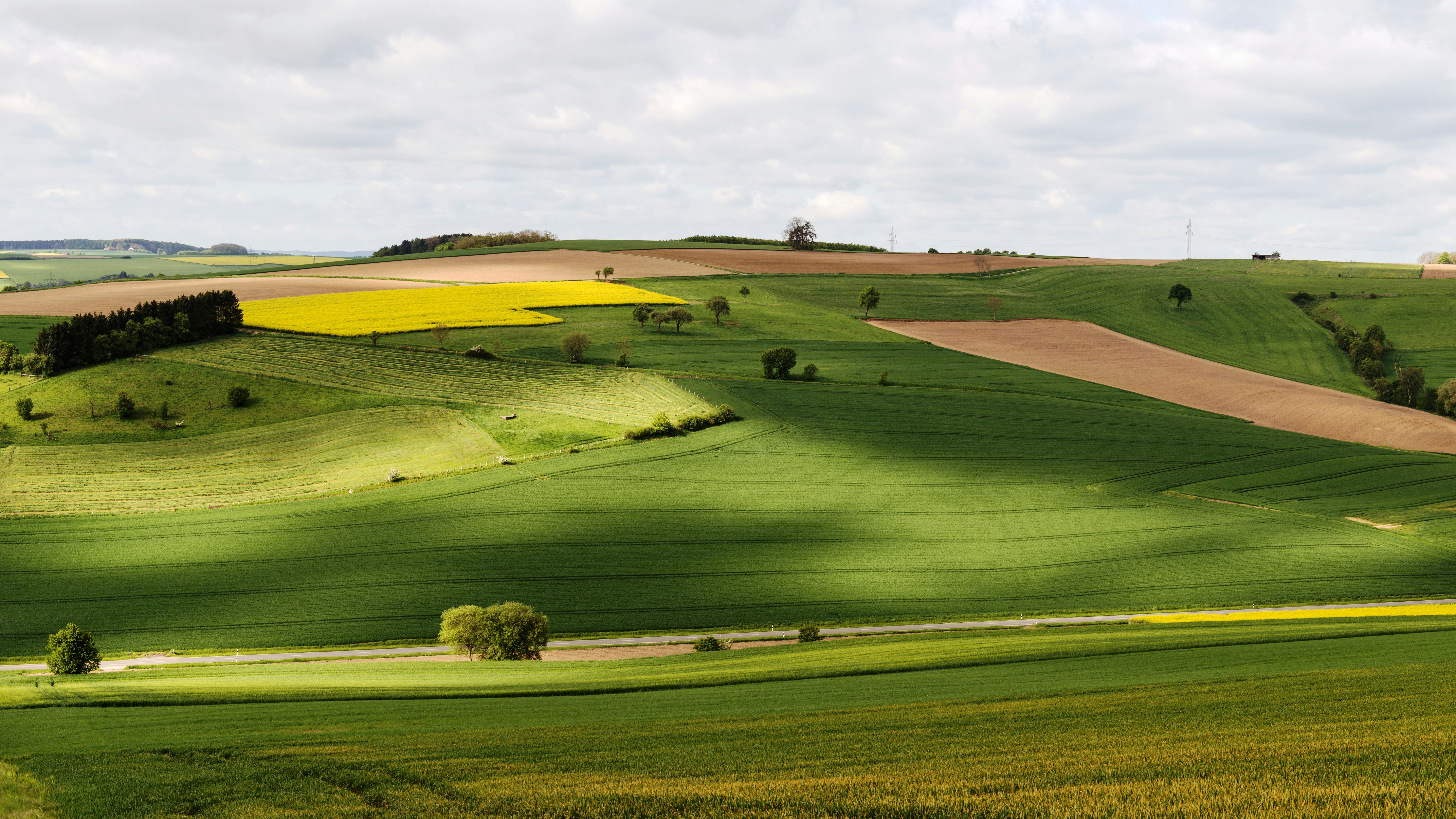 Photo by hamburgmeinefreundin