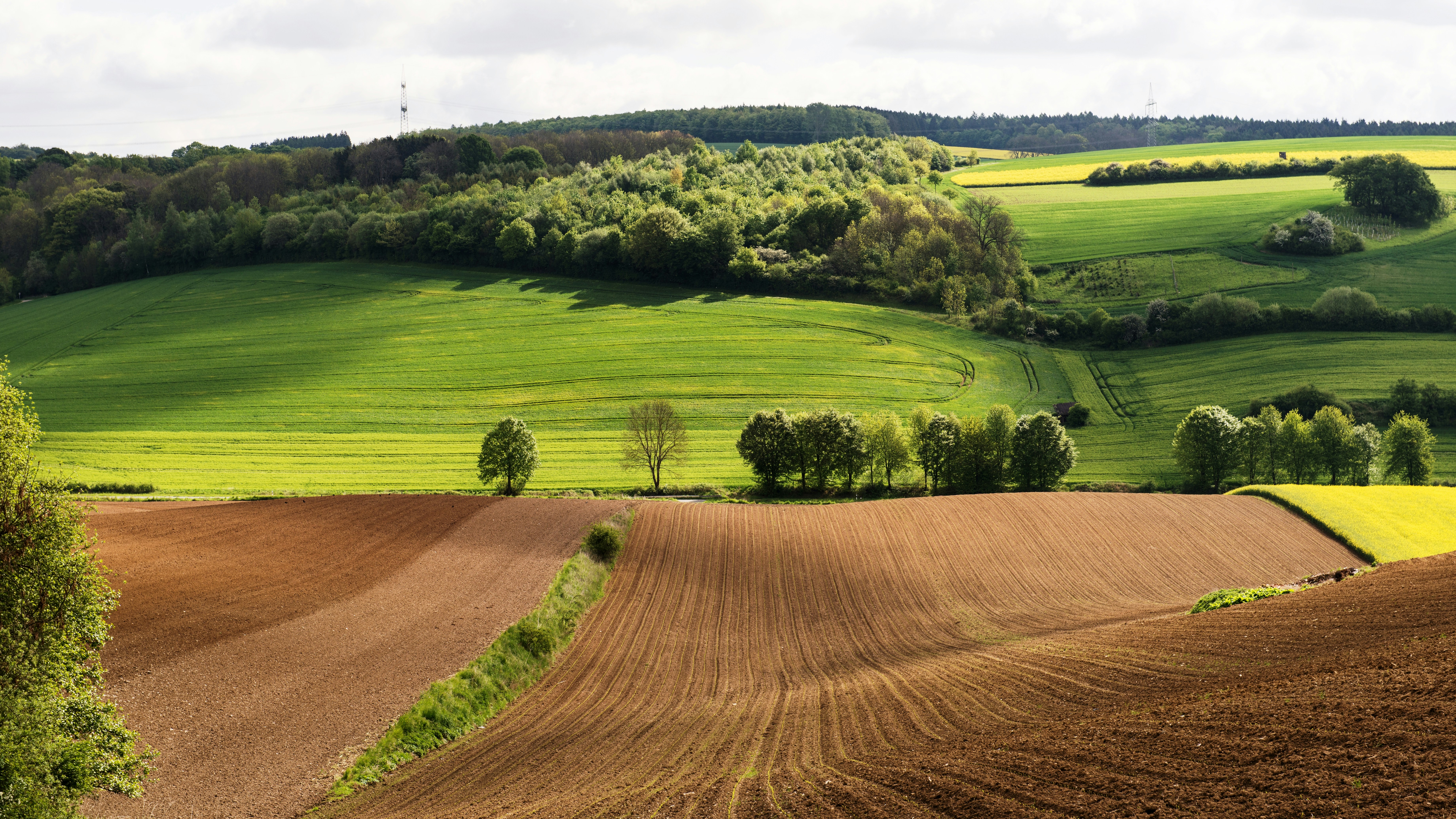 Photo by hamburgmeinefreundin