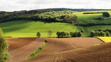 Rolling hills and vibrant fields create a beautiful landscape