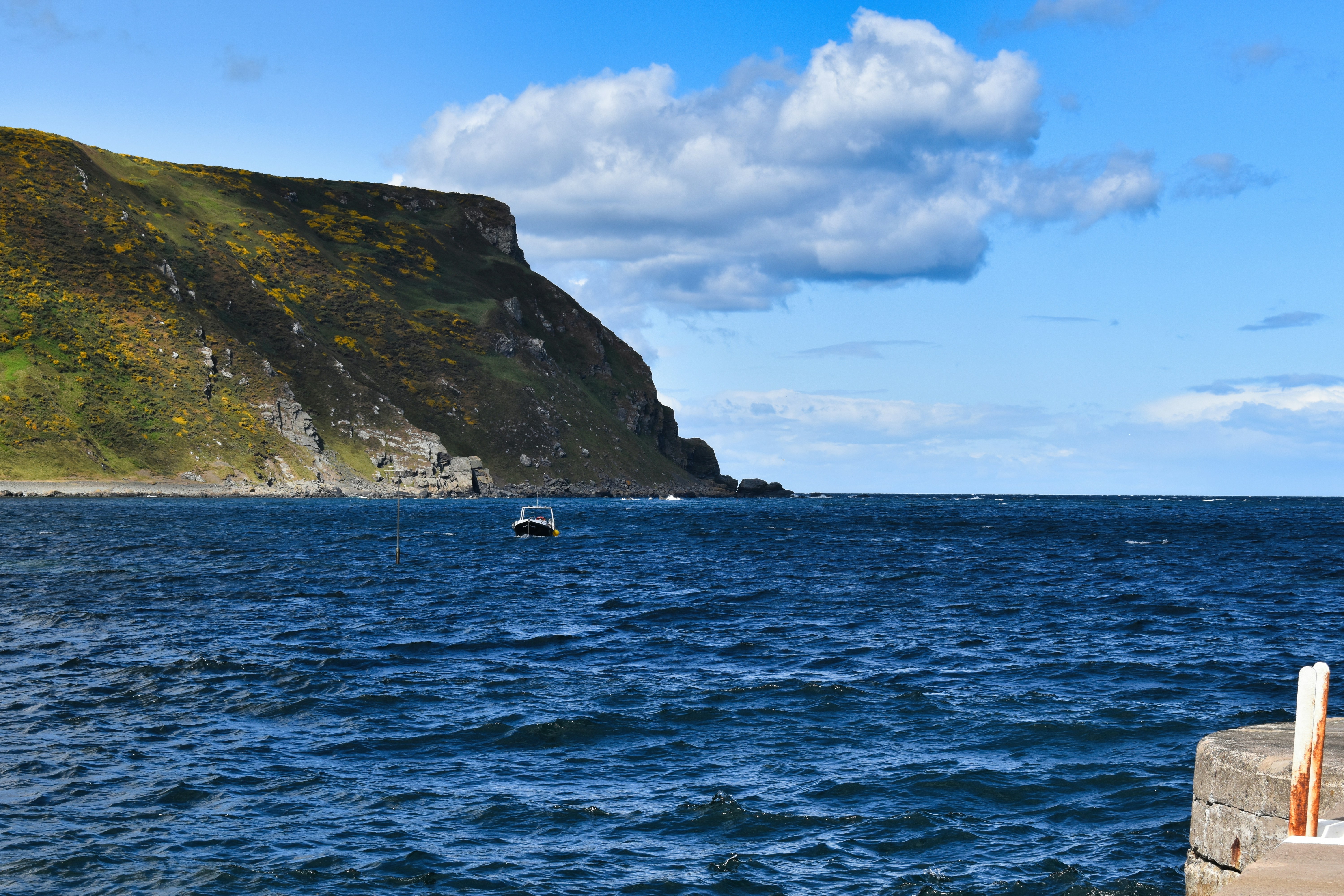 Photo by andrew_hall