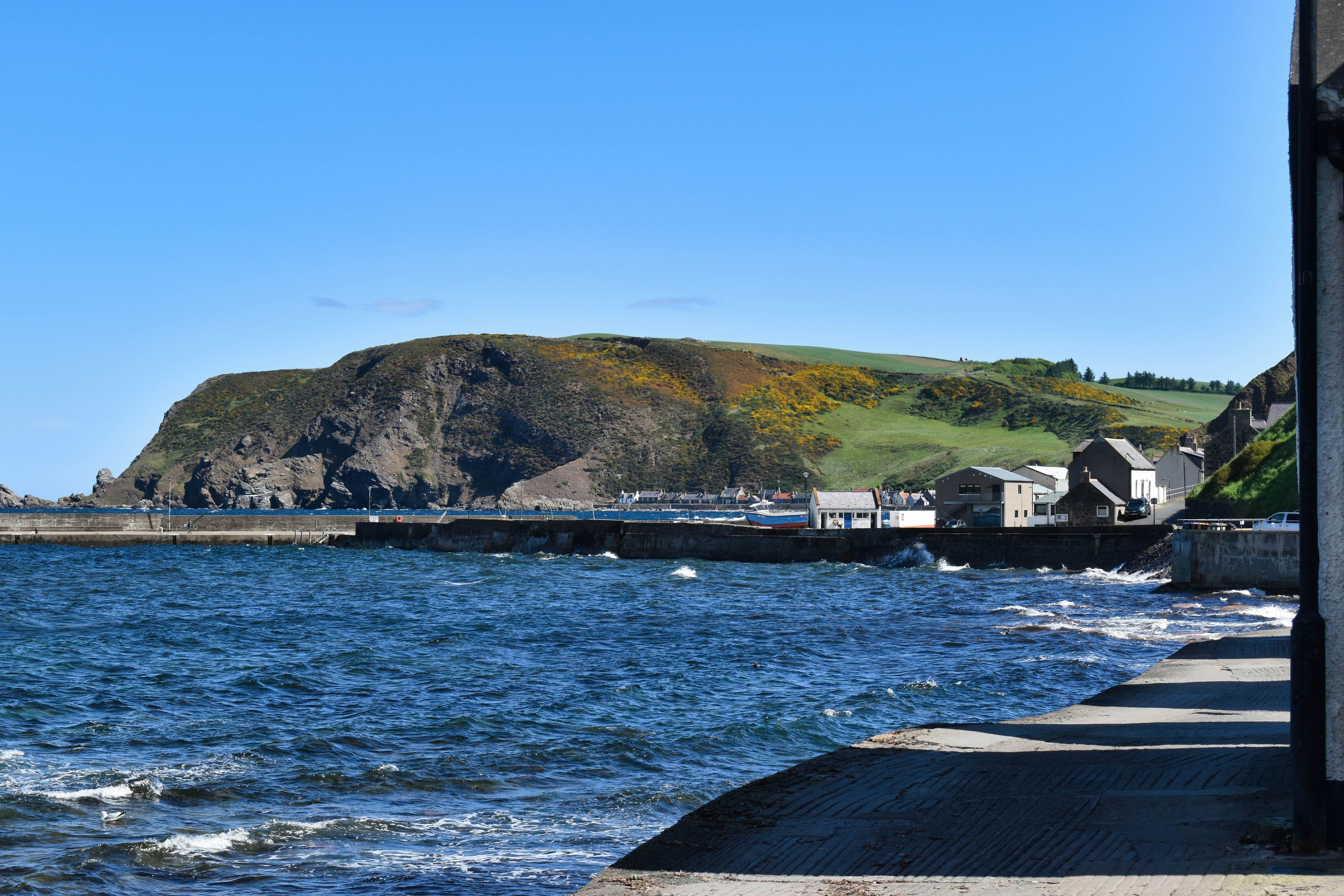 Photo by andrew_hall