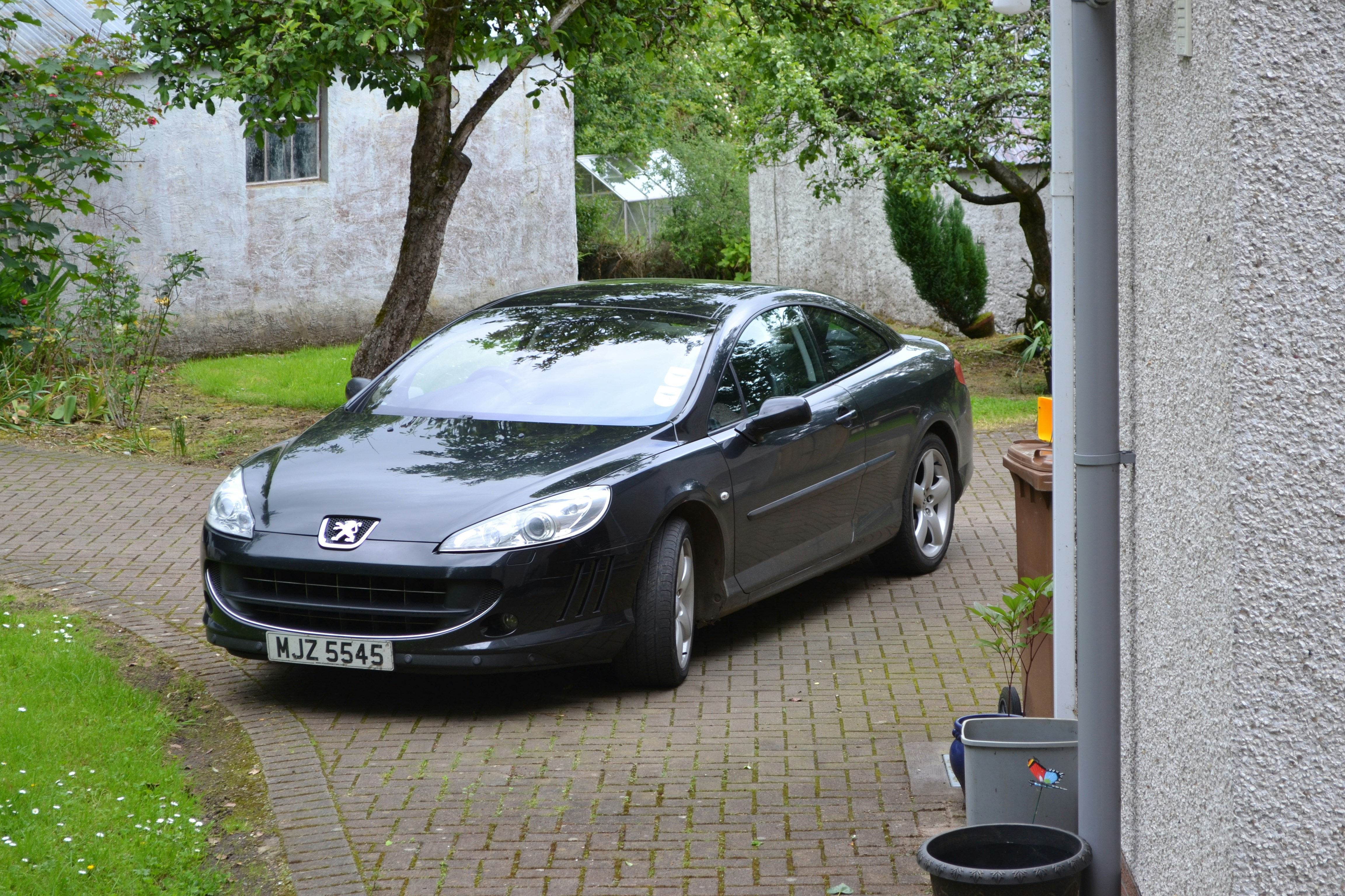 Most Affordable EVs in 2025: New, Used, and Total Cost Guide