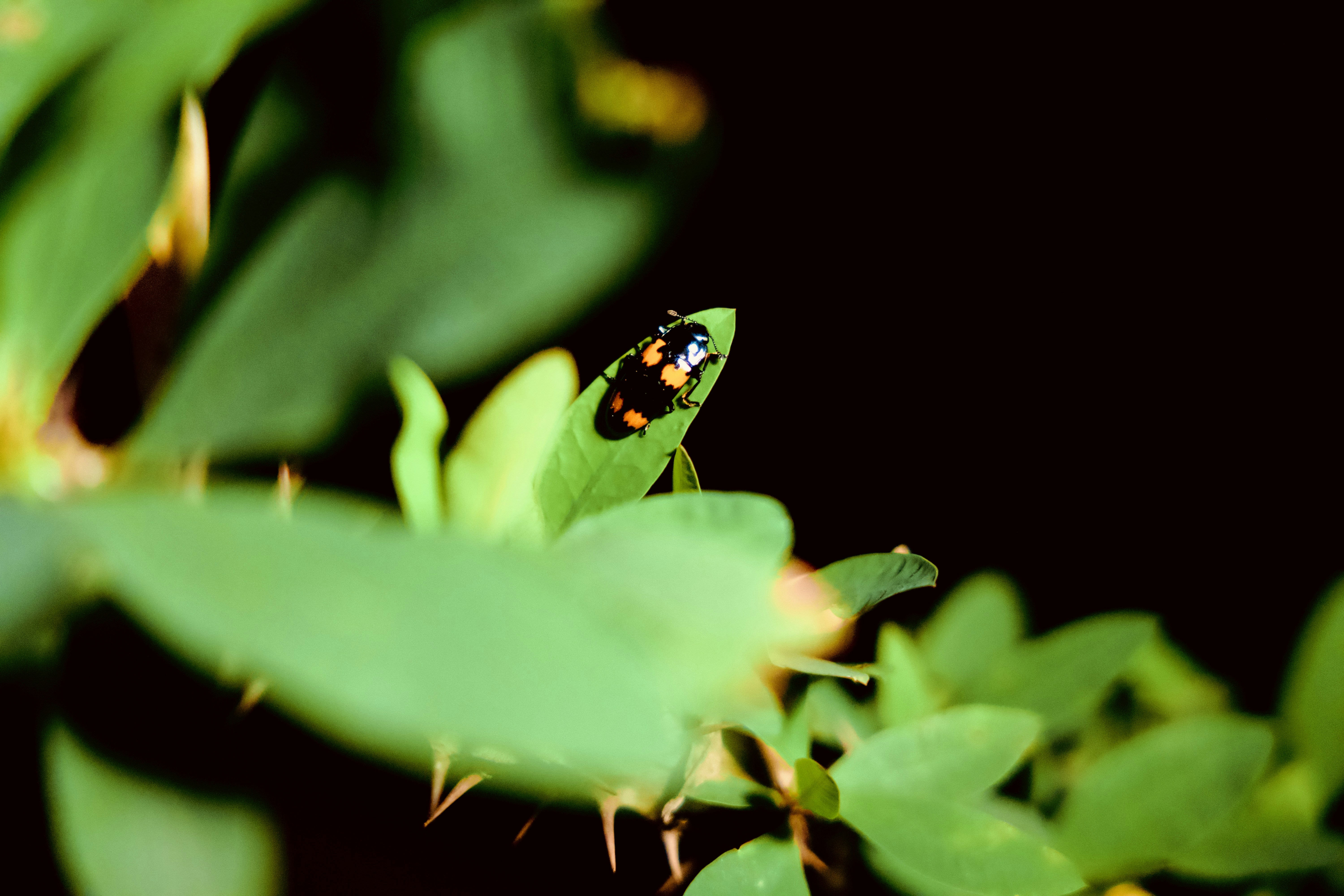 Photo by spenz_official