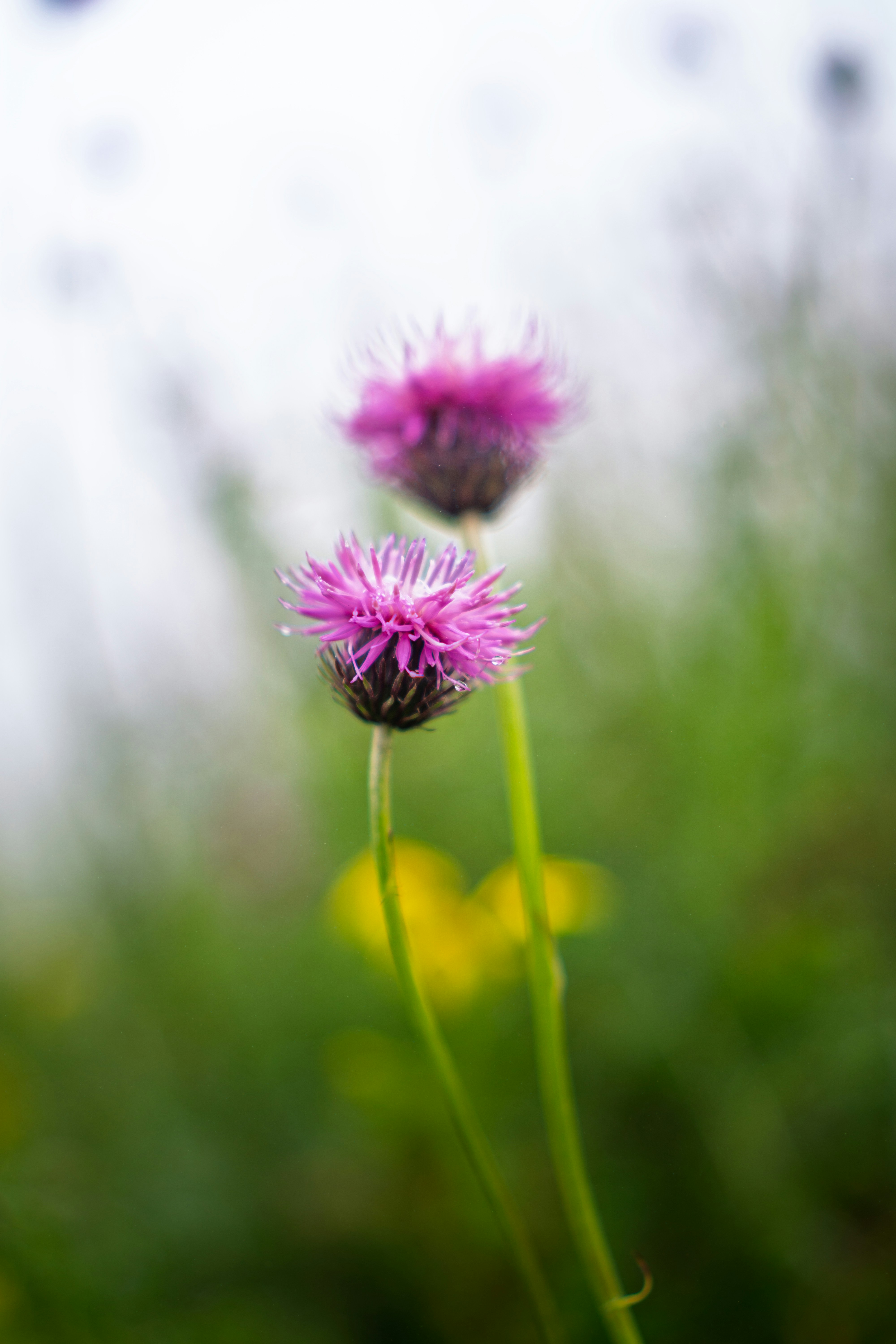 Photo by thisismasud