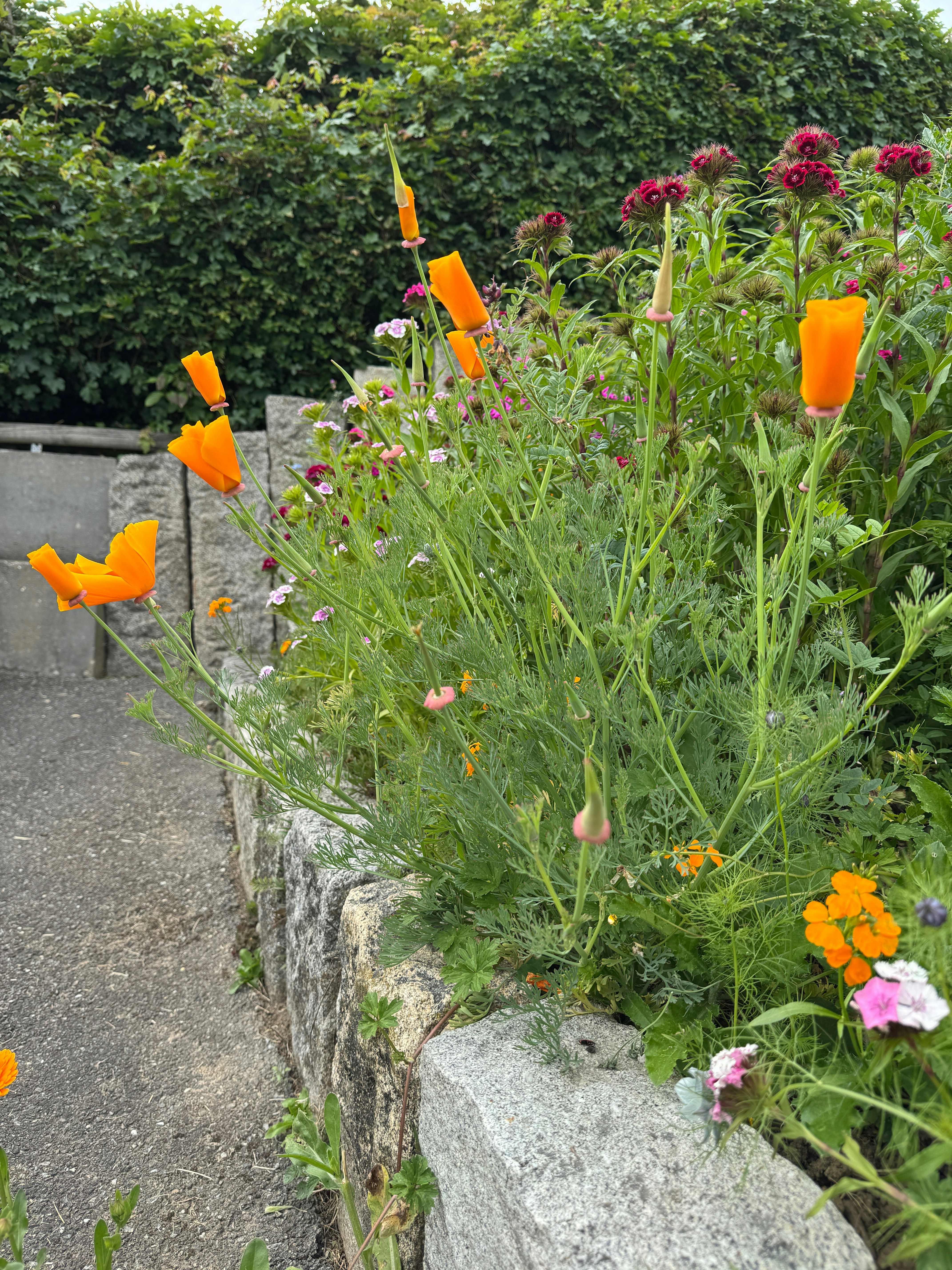 Henning Gärtner (hyperblue) Comunidade de fotos da Unsplash