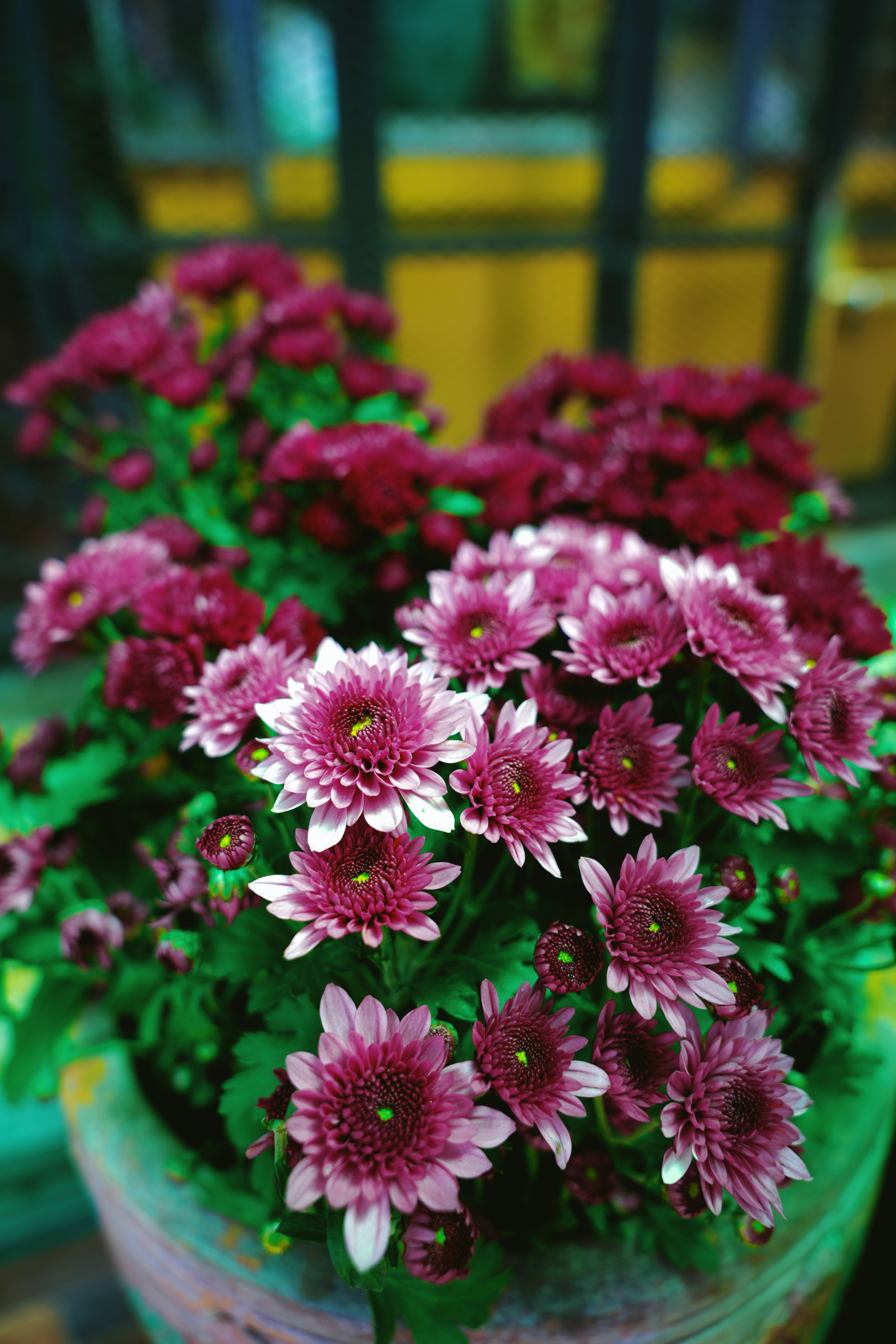 Photo by maxbvp