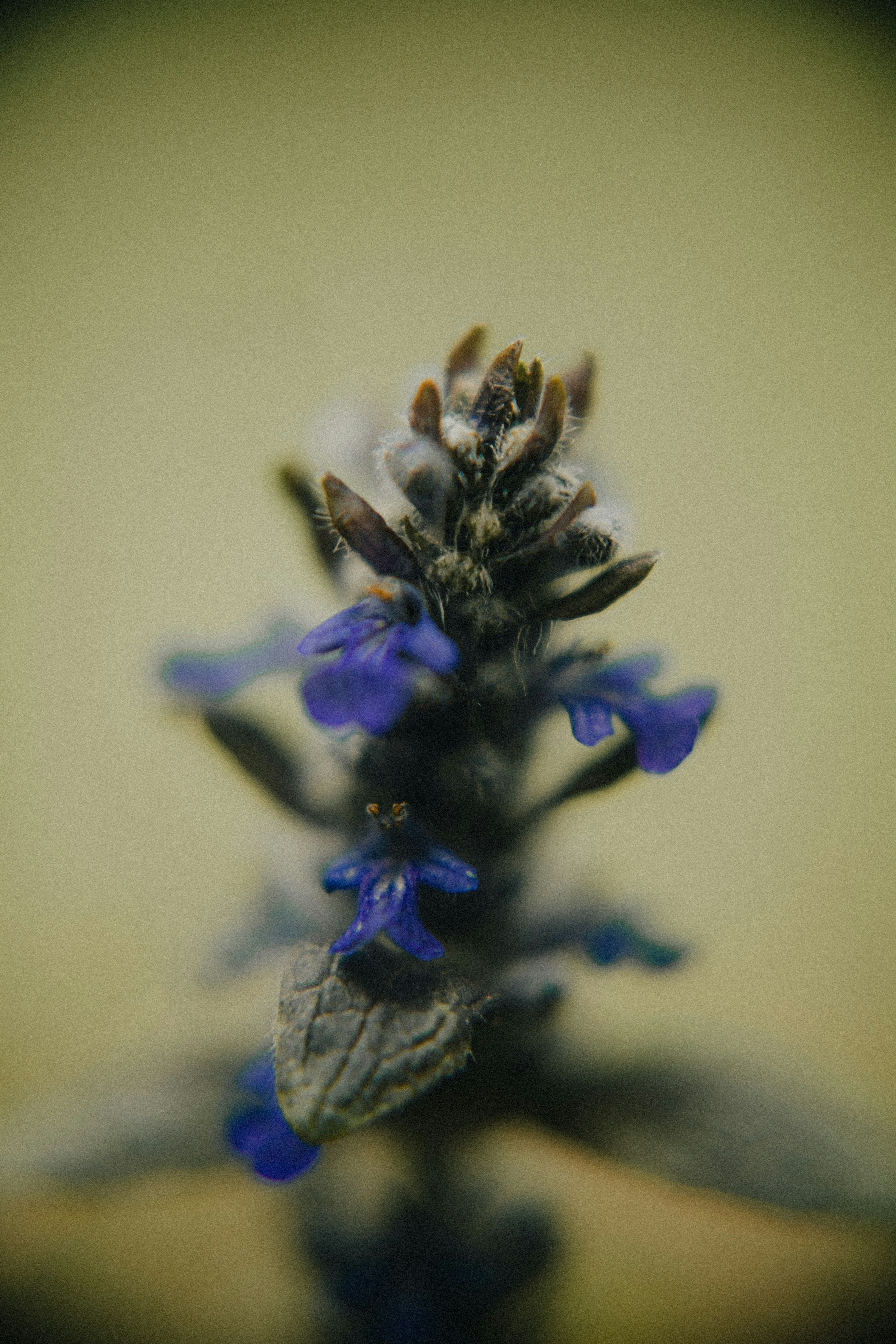 Photo by potokvarte