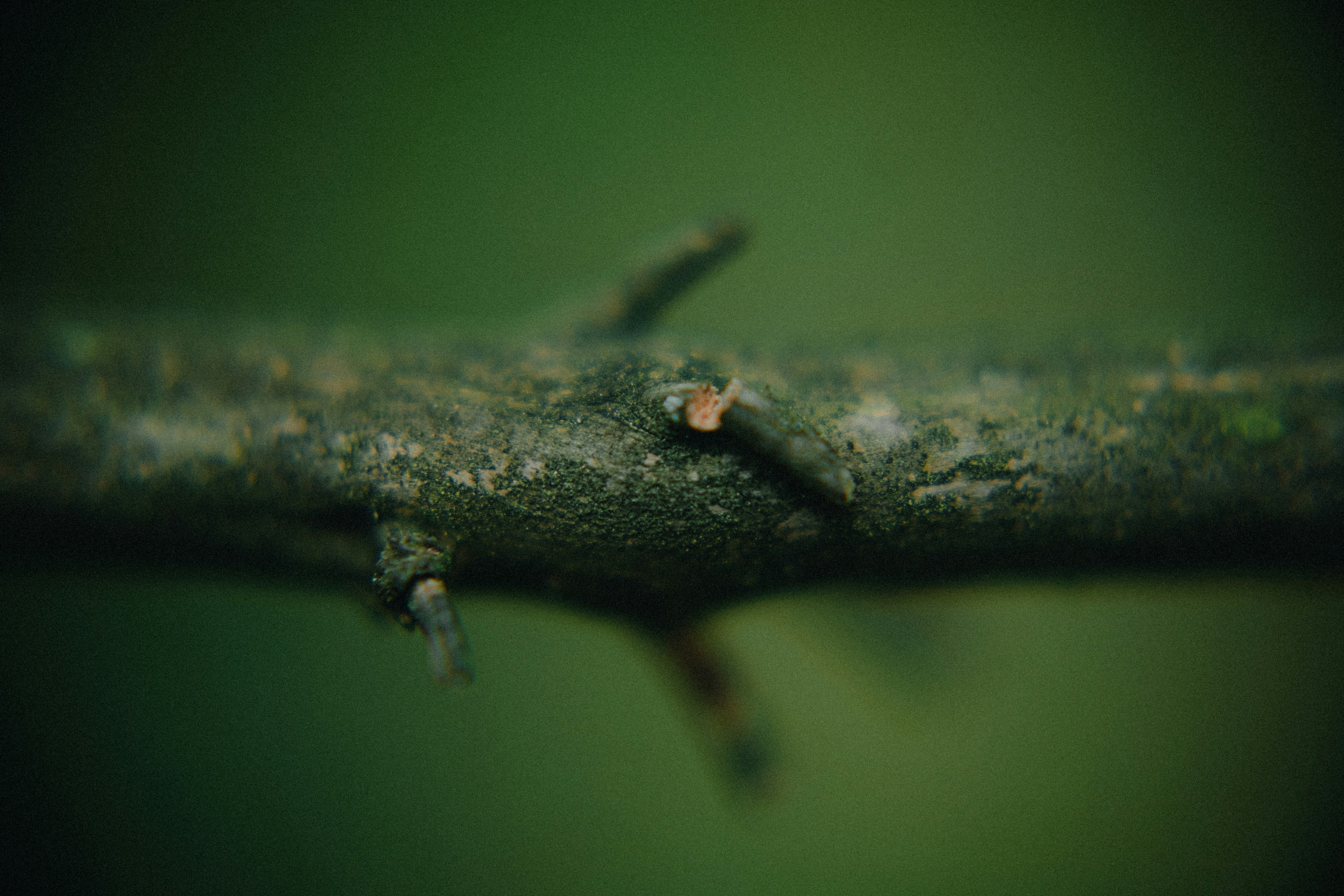 Photo by potokvarte