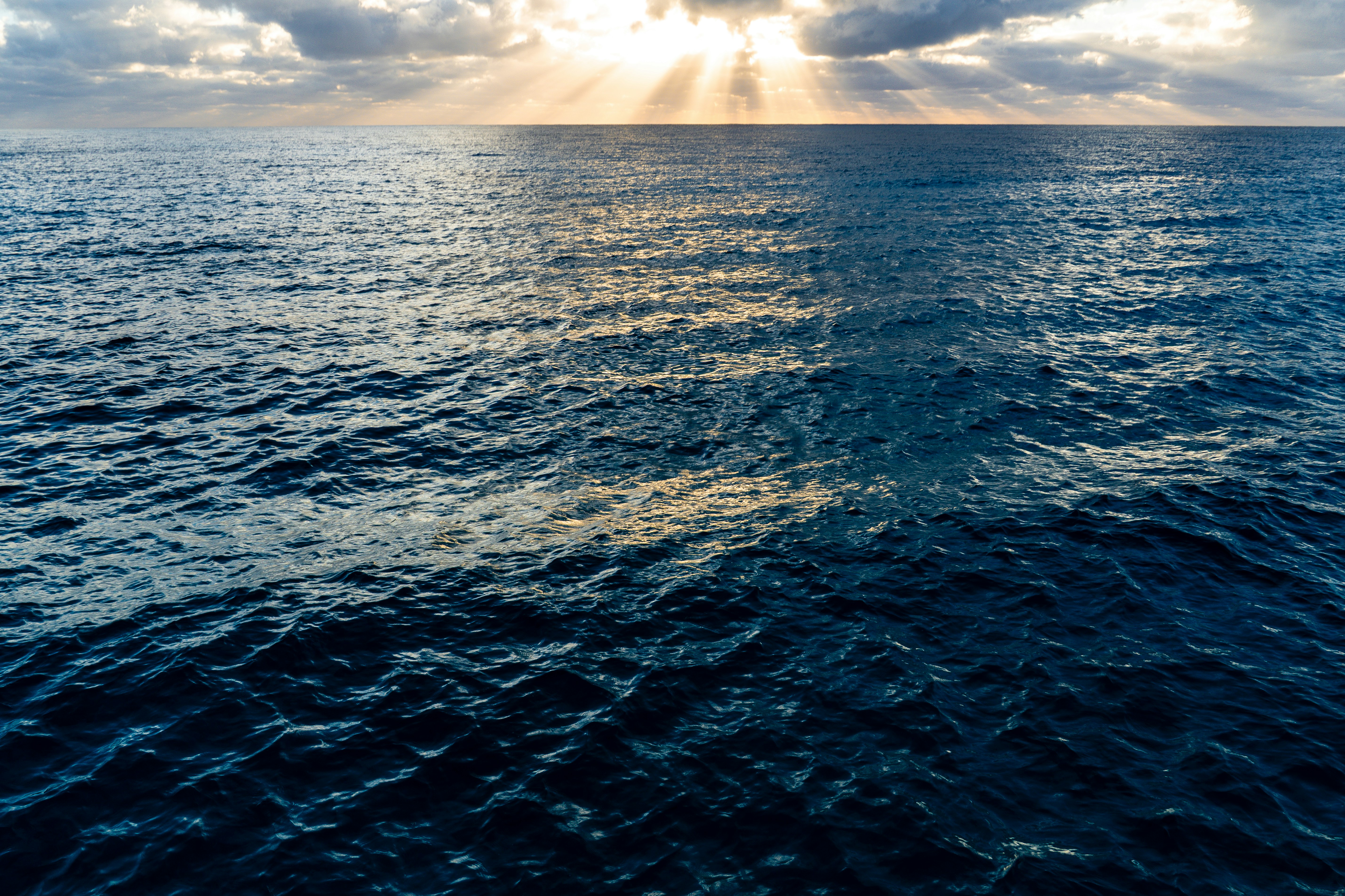 Photo by sarahspcreates