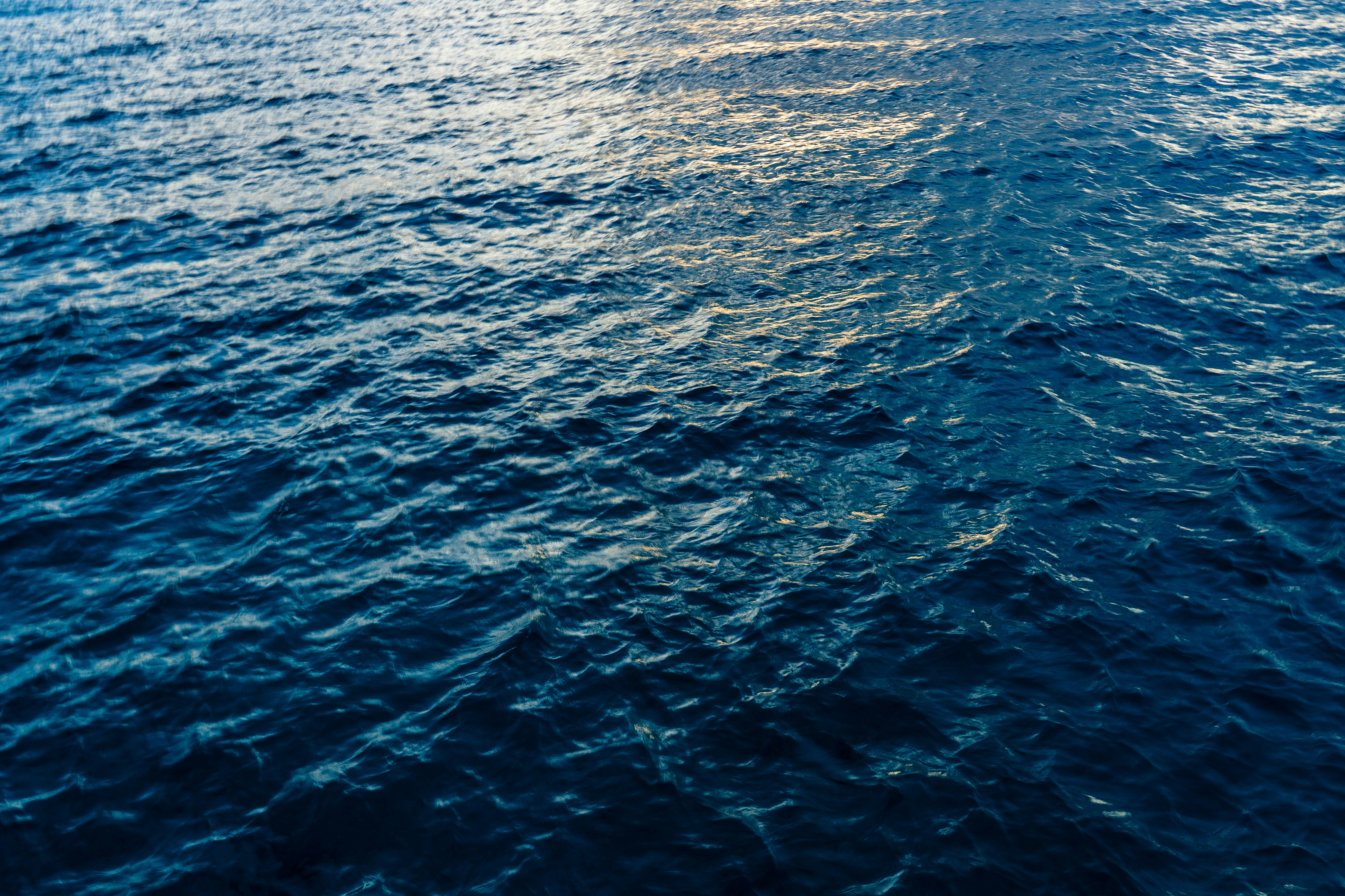 Photo by sarahspcreates