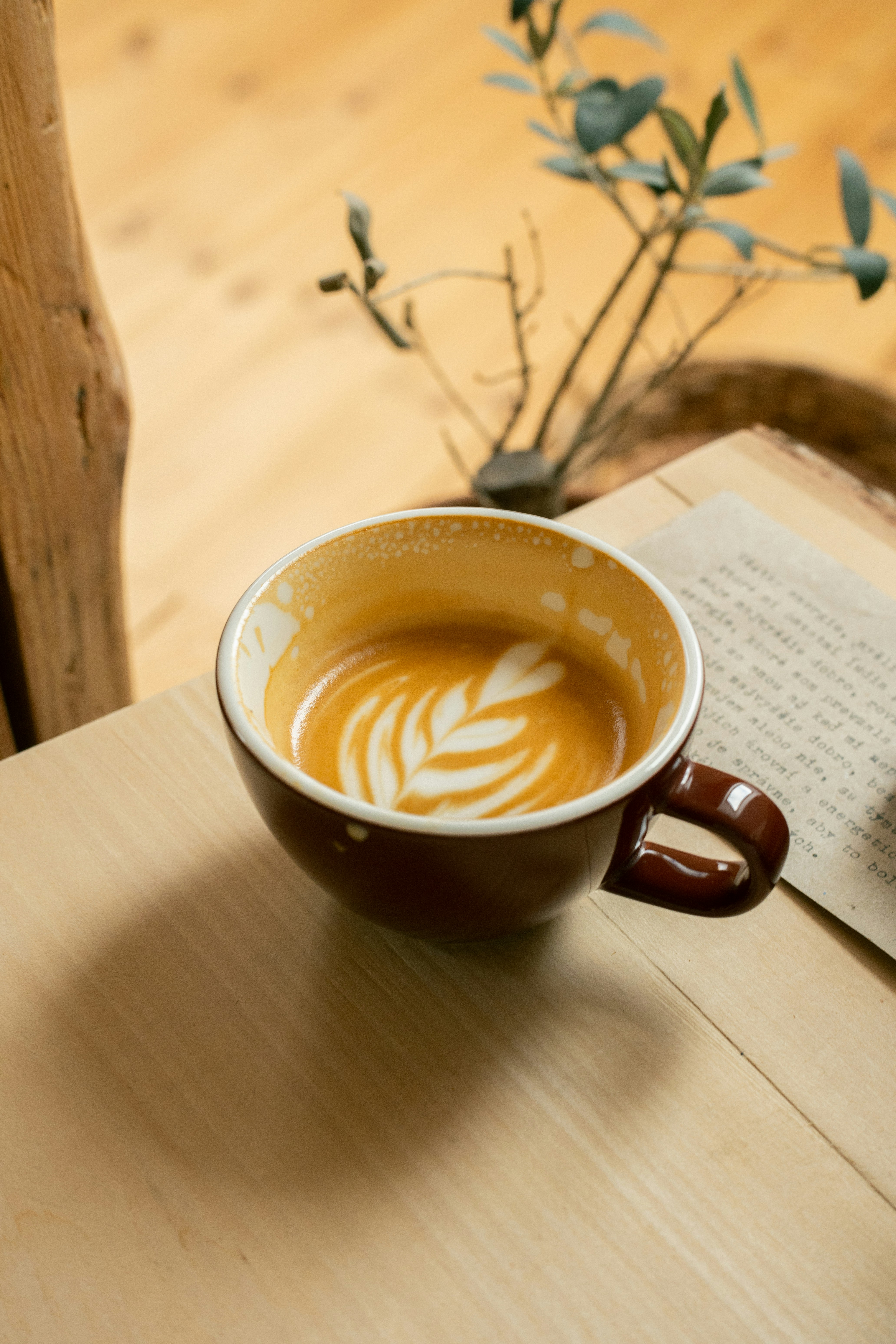 Photo by raymondpetrik