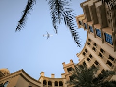 Airplane flies above a building with palm trees.