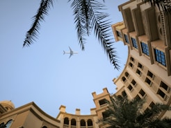 Airplane flies above a building with palm trees.