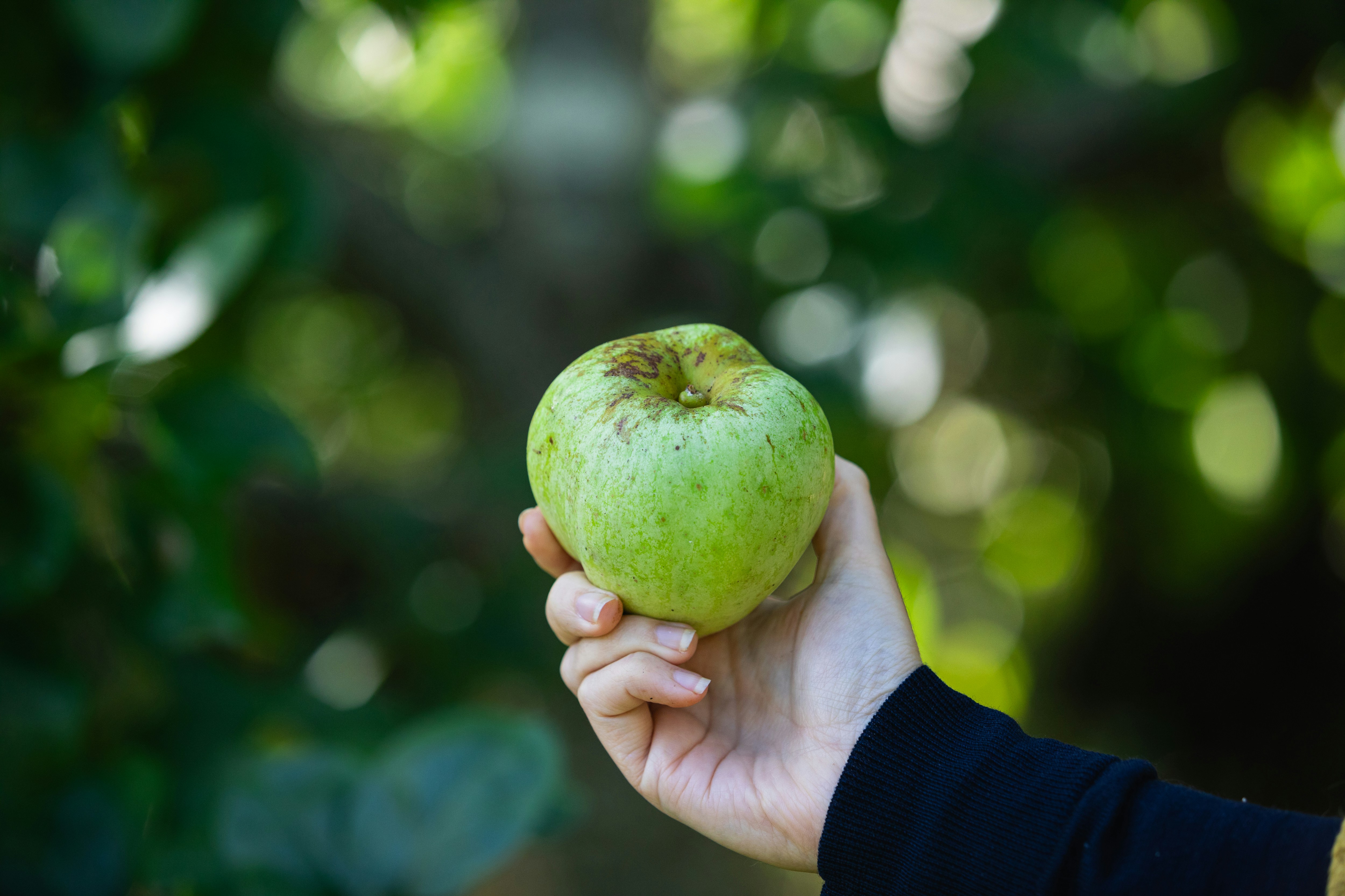 Photo by mikejerskine