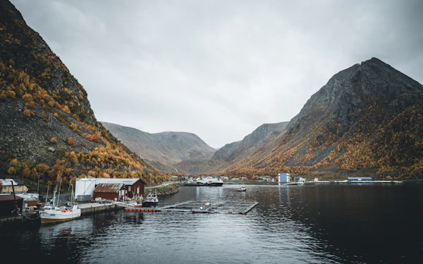 Calm fjord bay between bare summer mountains at Øksfjord in Finnmark, northern Norway