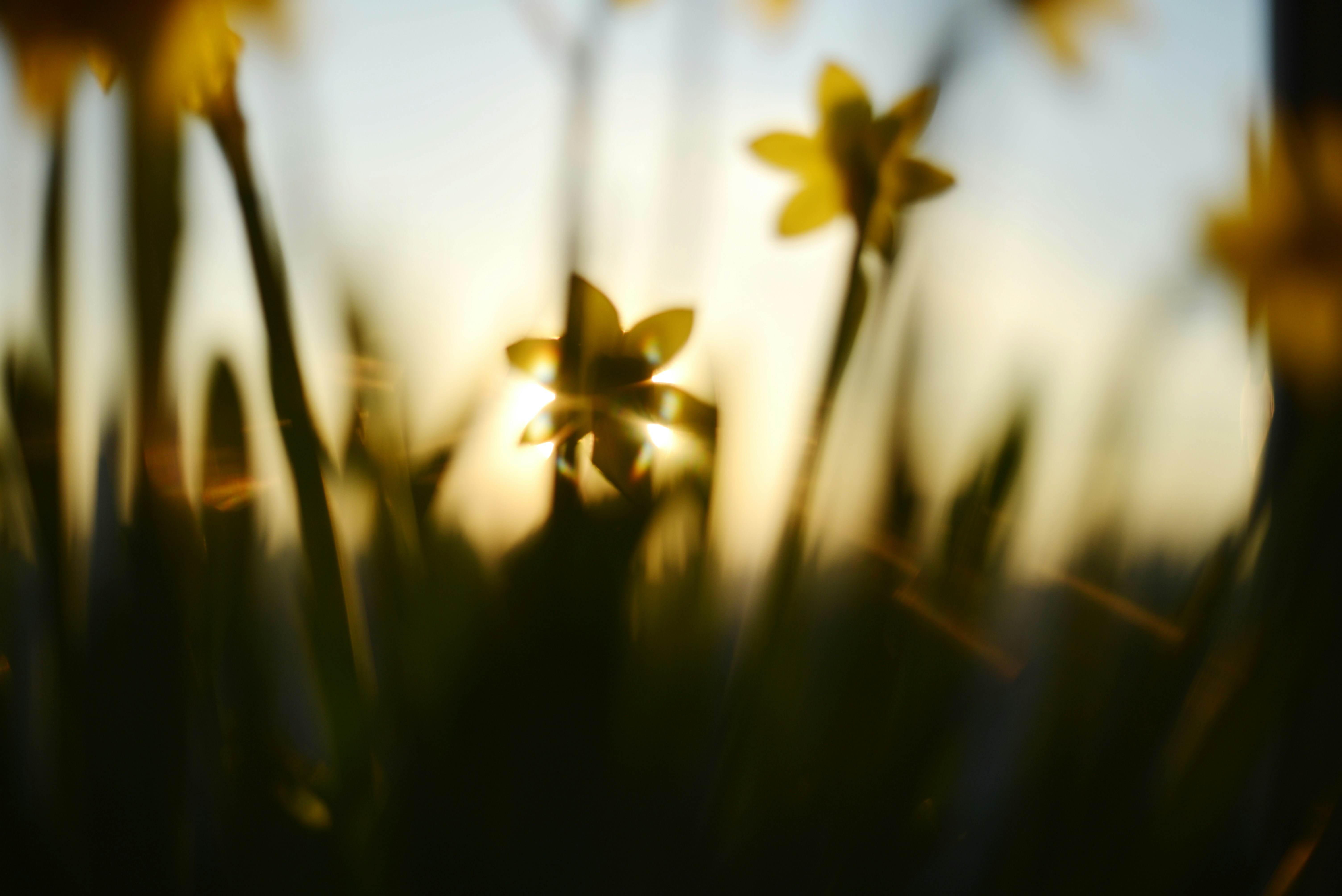 Photo by cherstve_pechivo