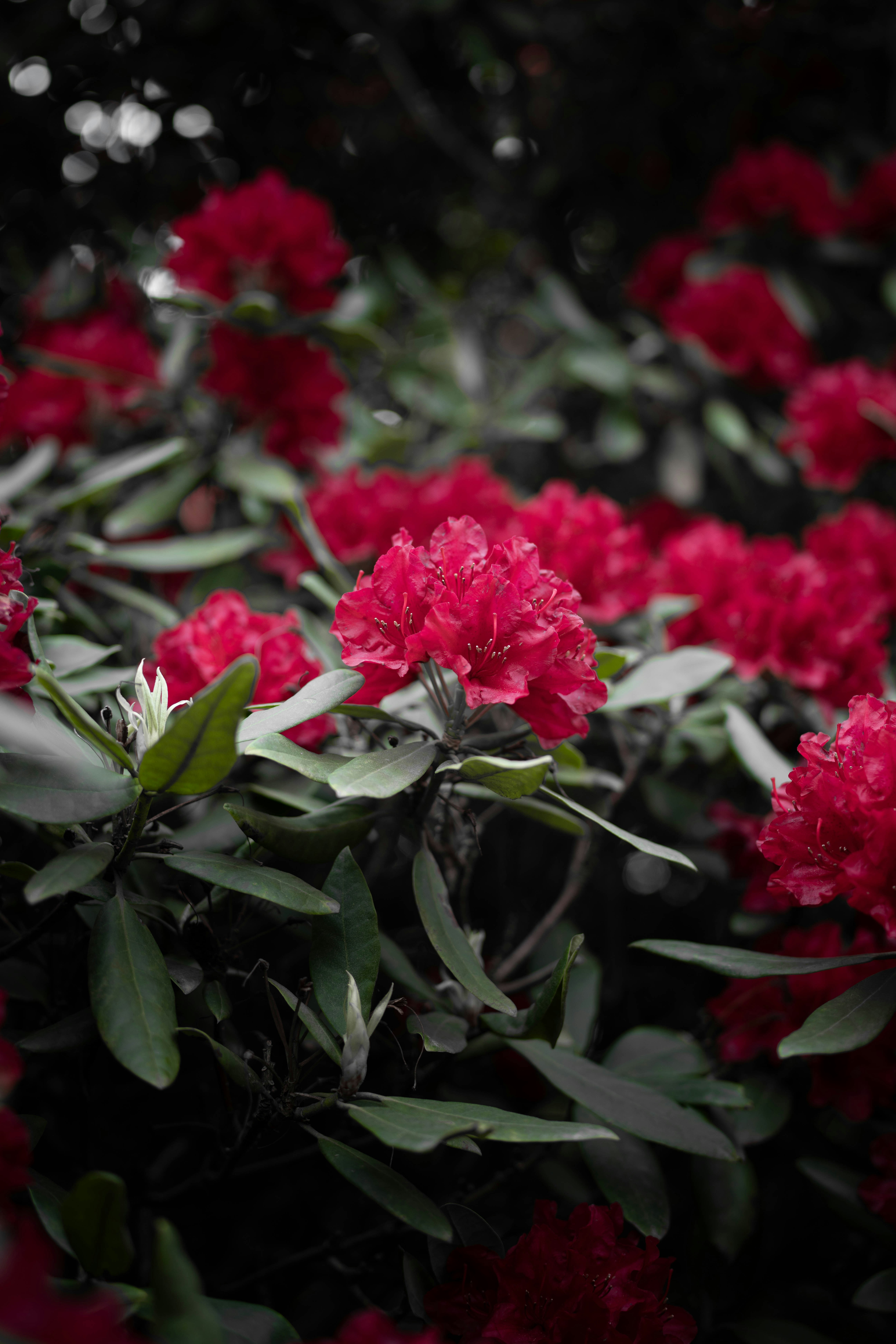 Photo by omikron