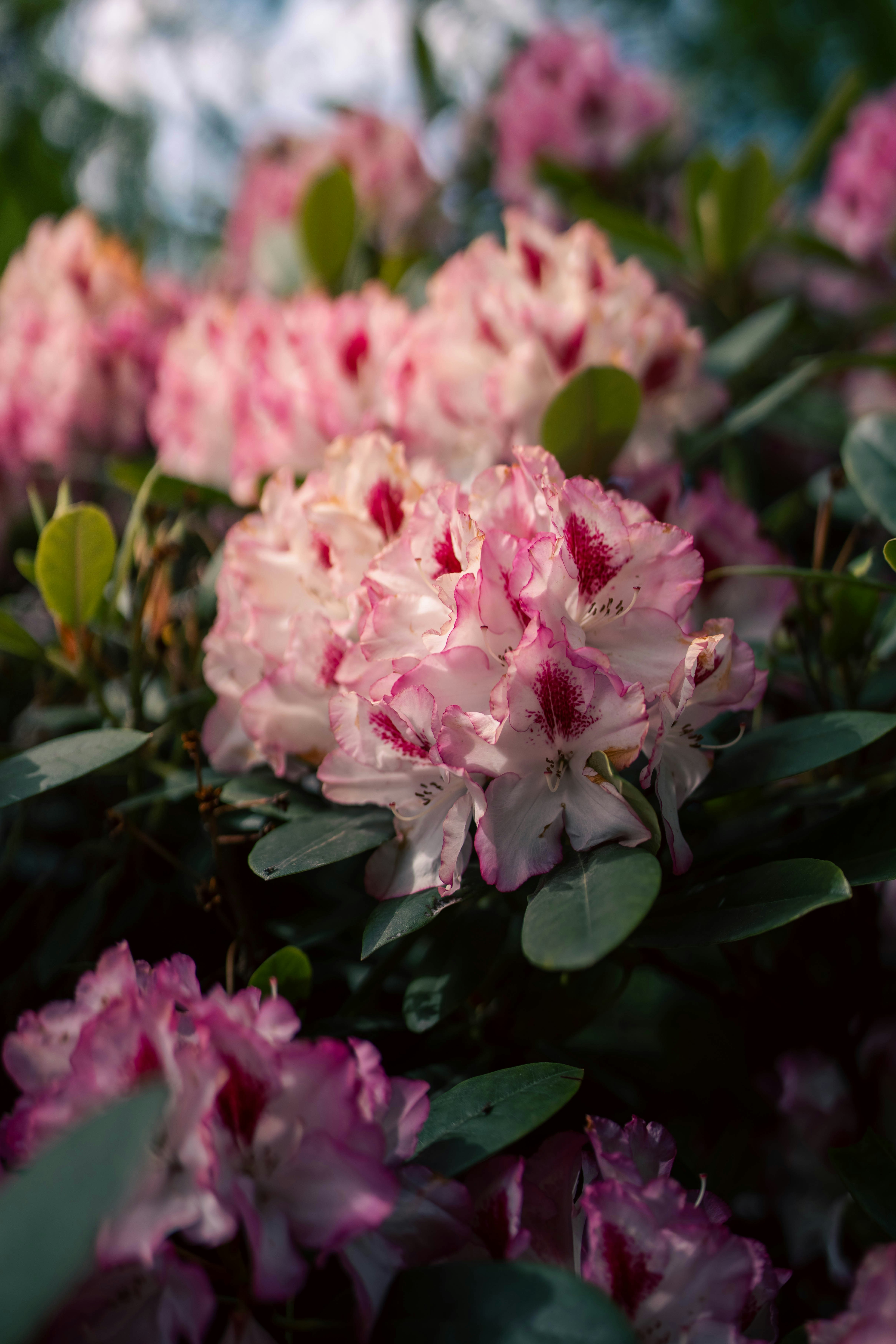 Photo by omikron