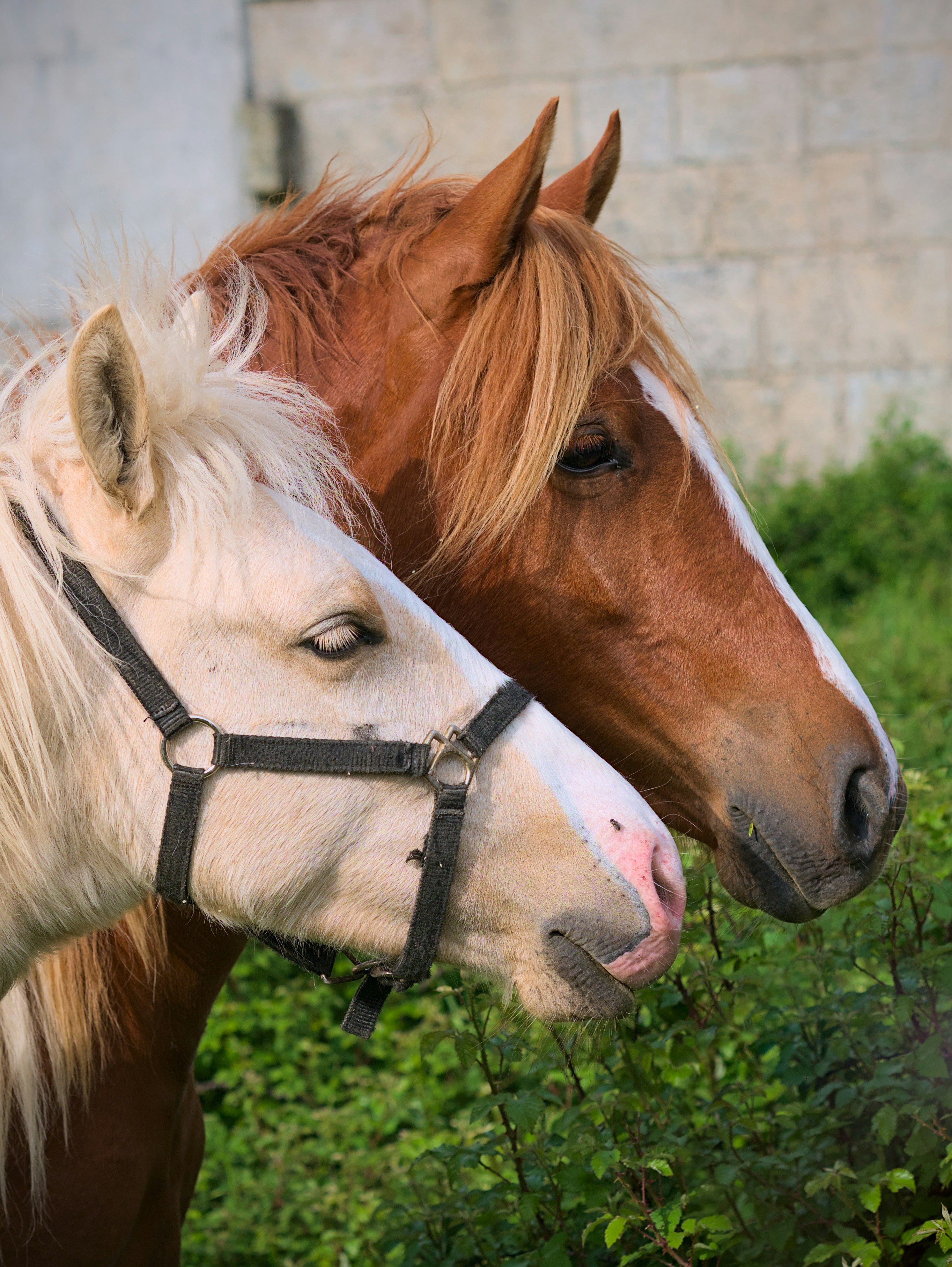 Photo by speeddragon35