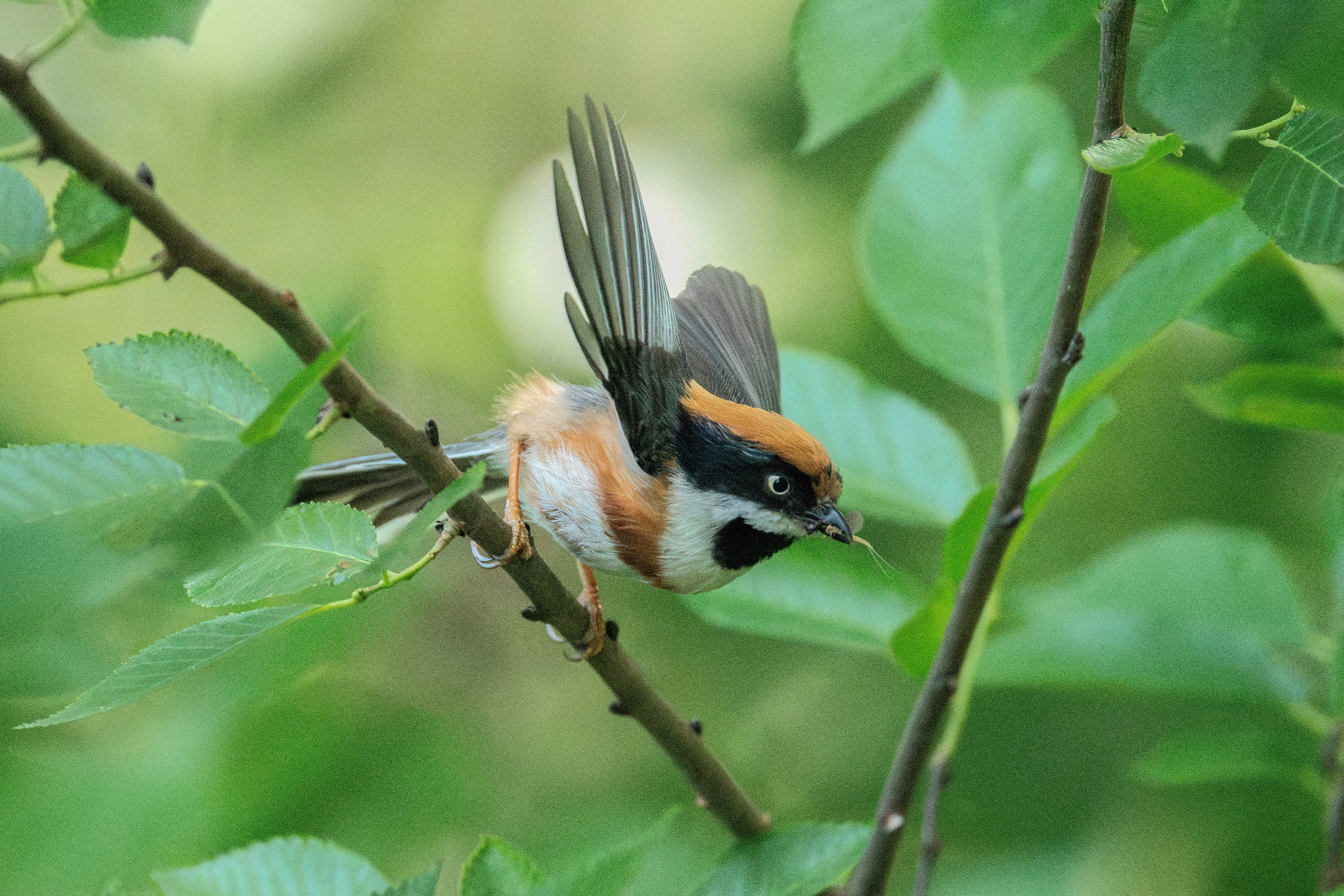 Photo by briadorothy