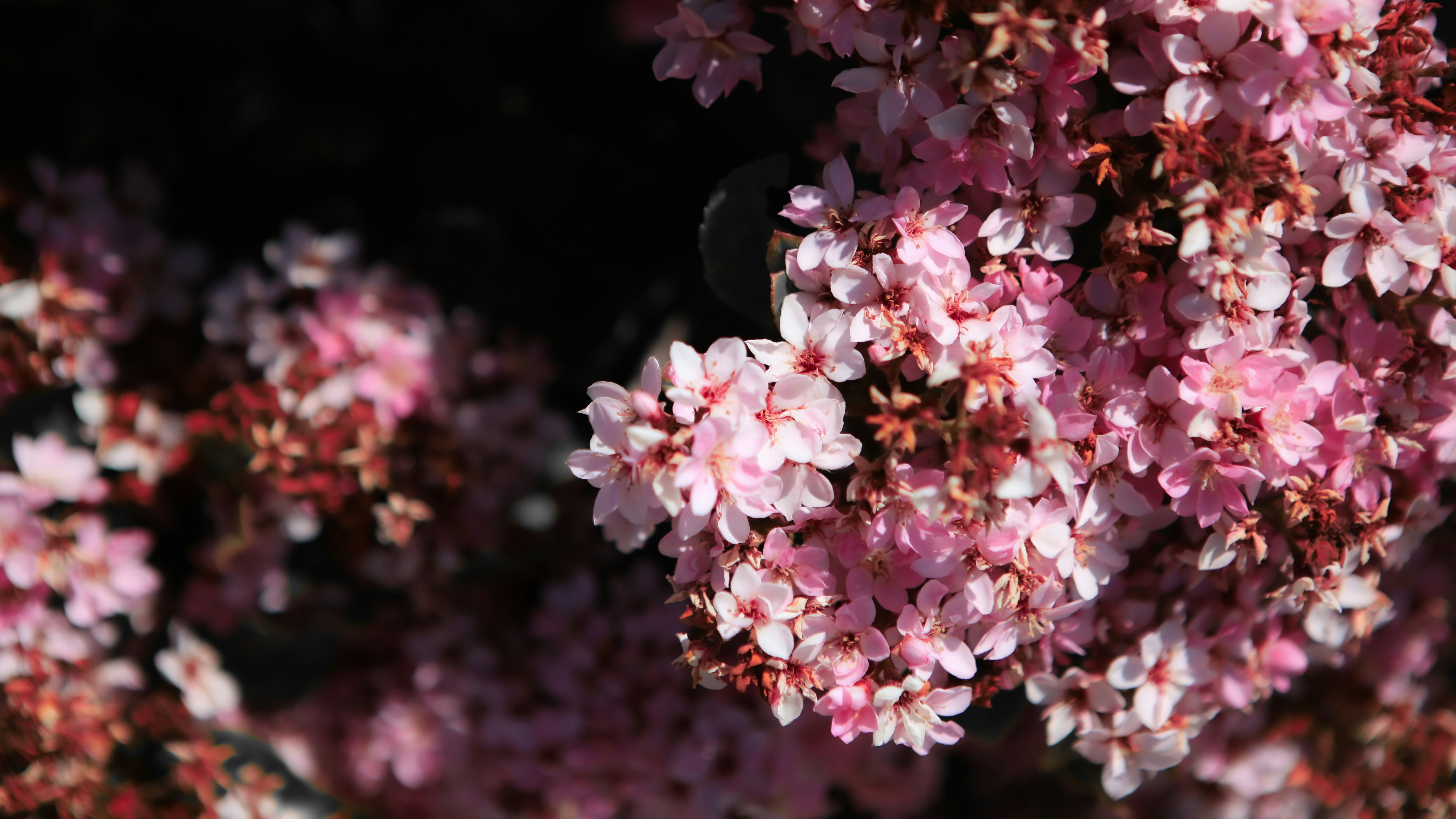 Photo by aurora_original