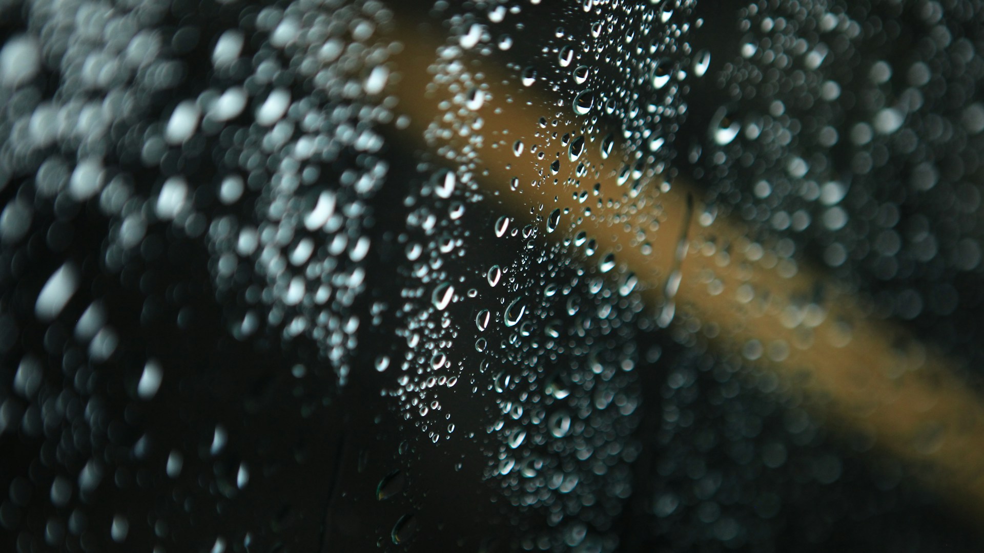 Raindrops are visible on a window.