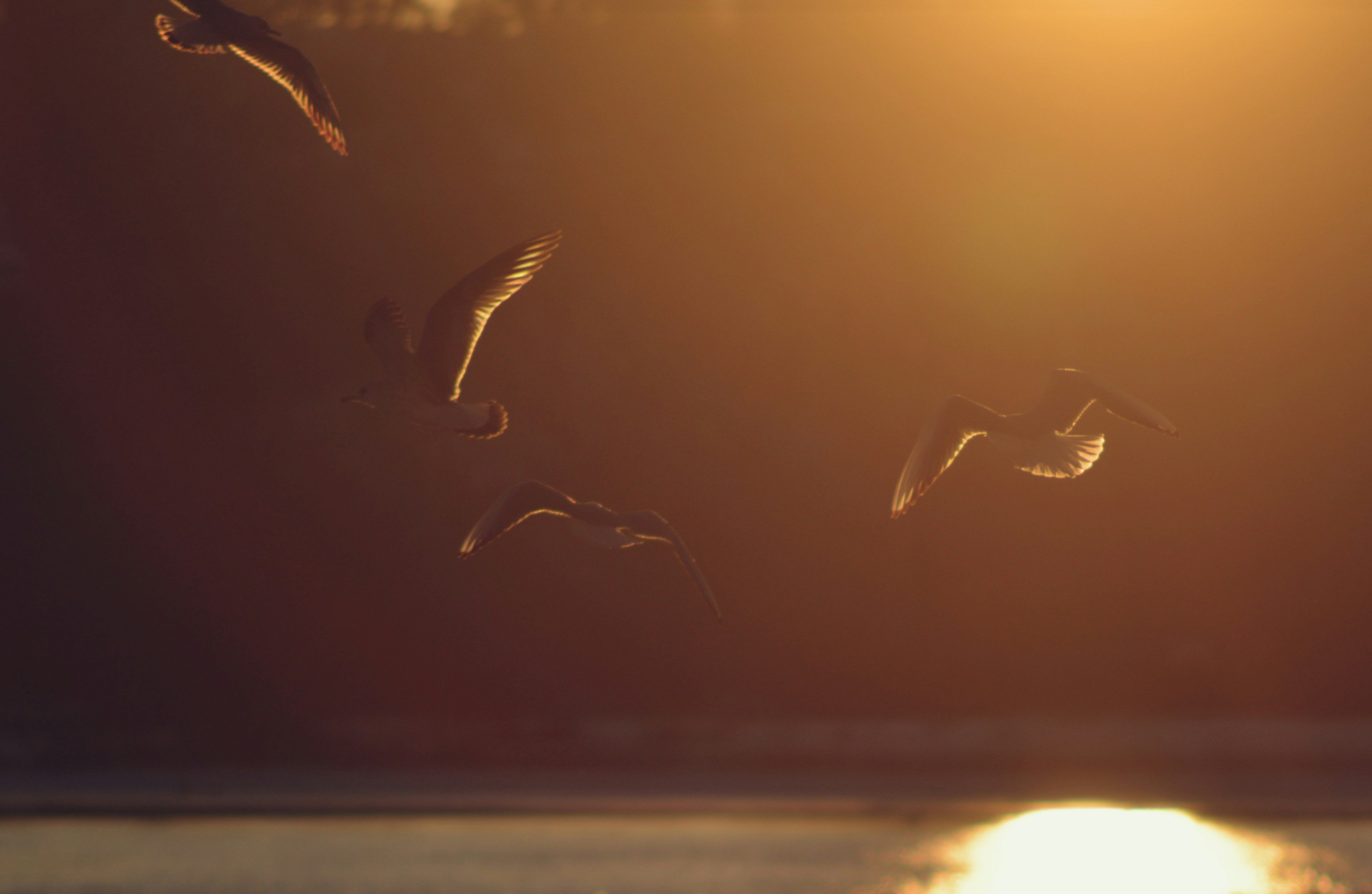 Photo by cherstve_pechivo