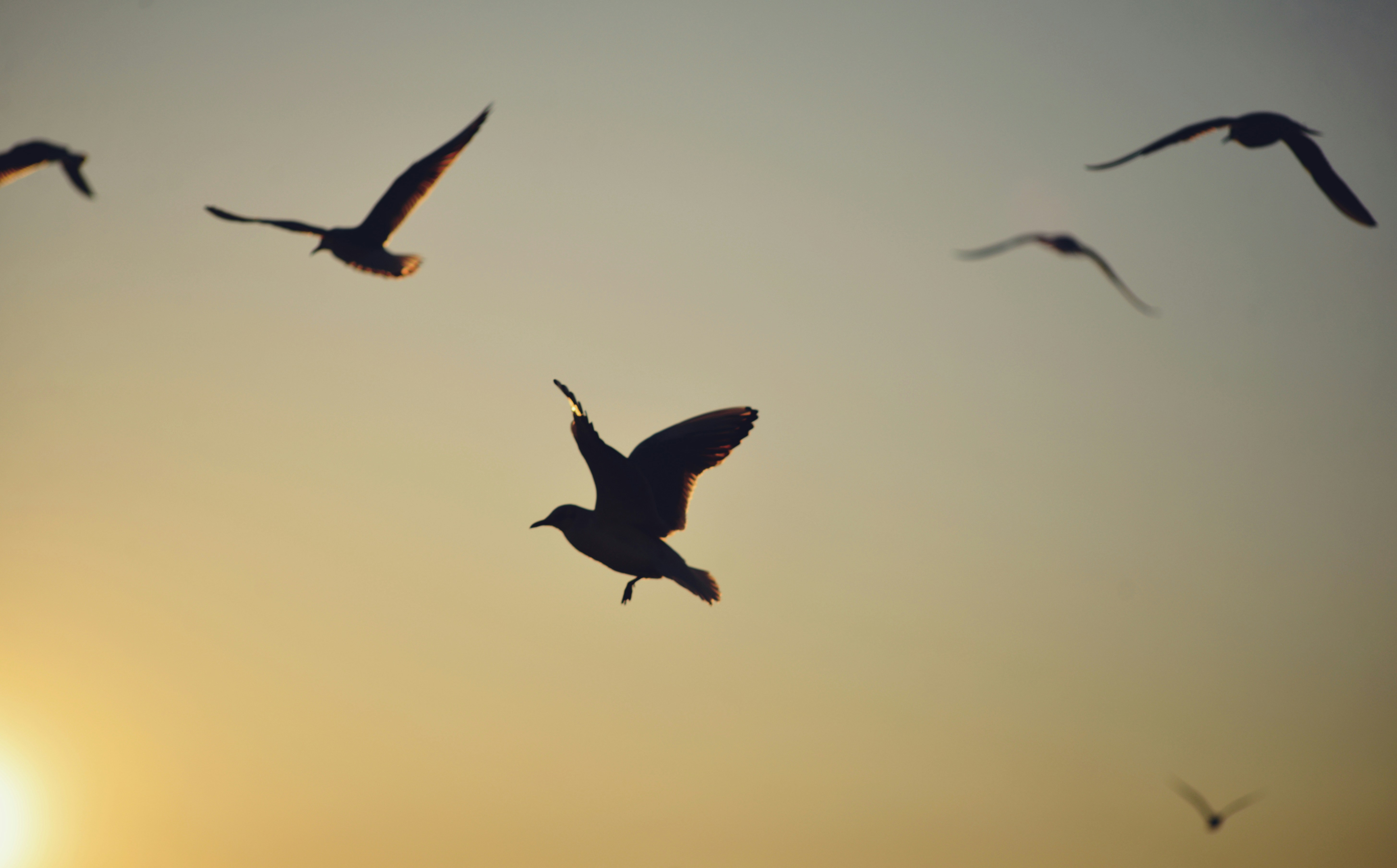 Photo by cherstve_pechivo