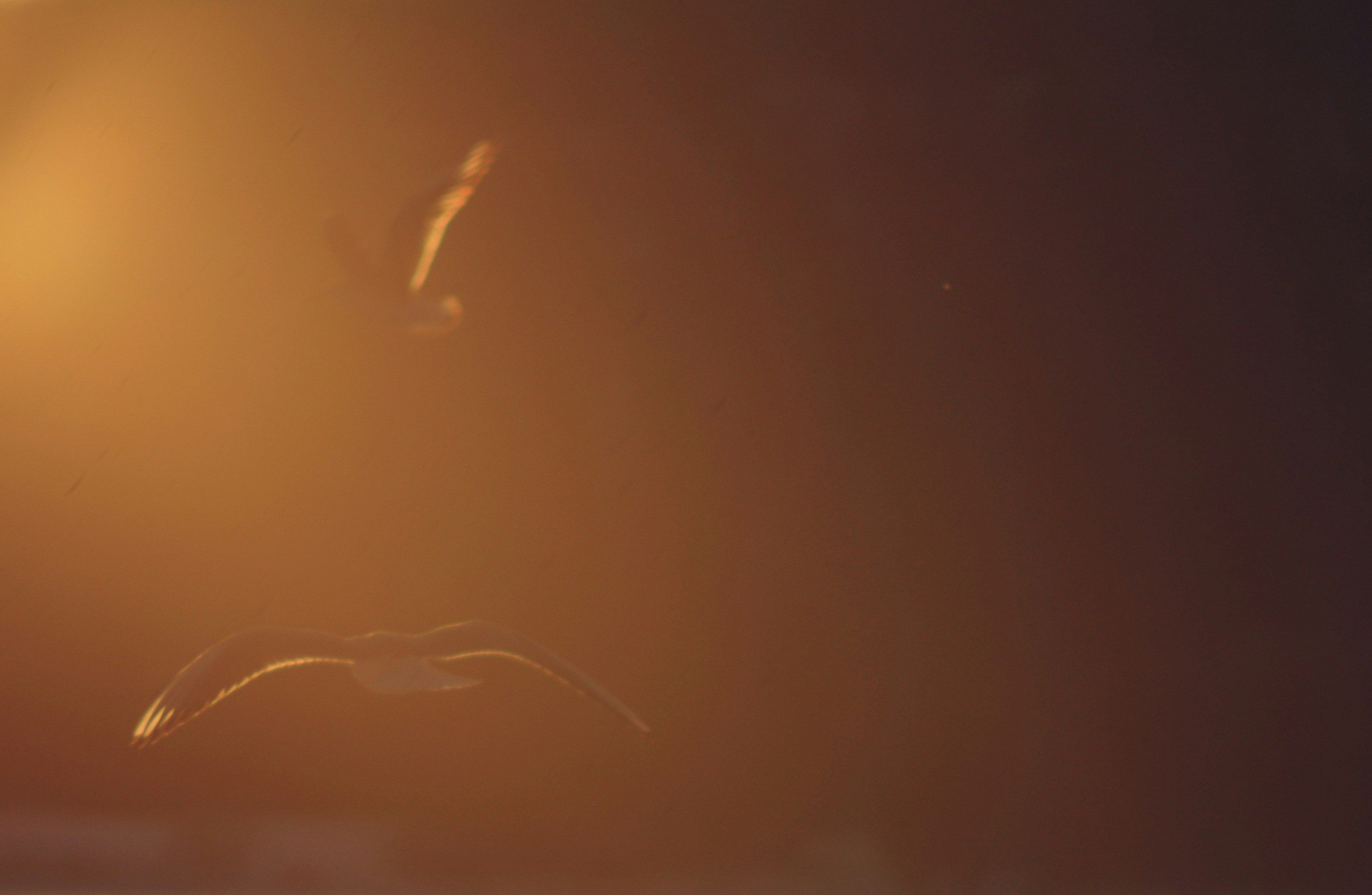 Photo by cherstve_pechivo