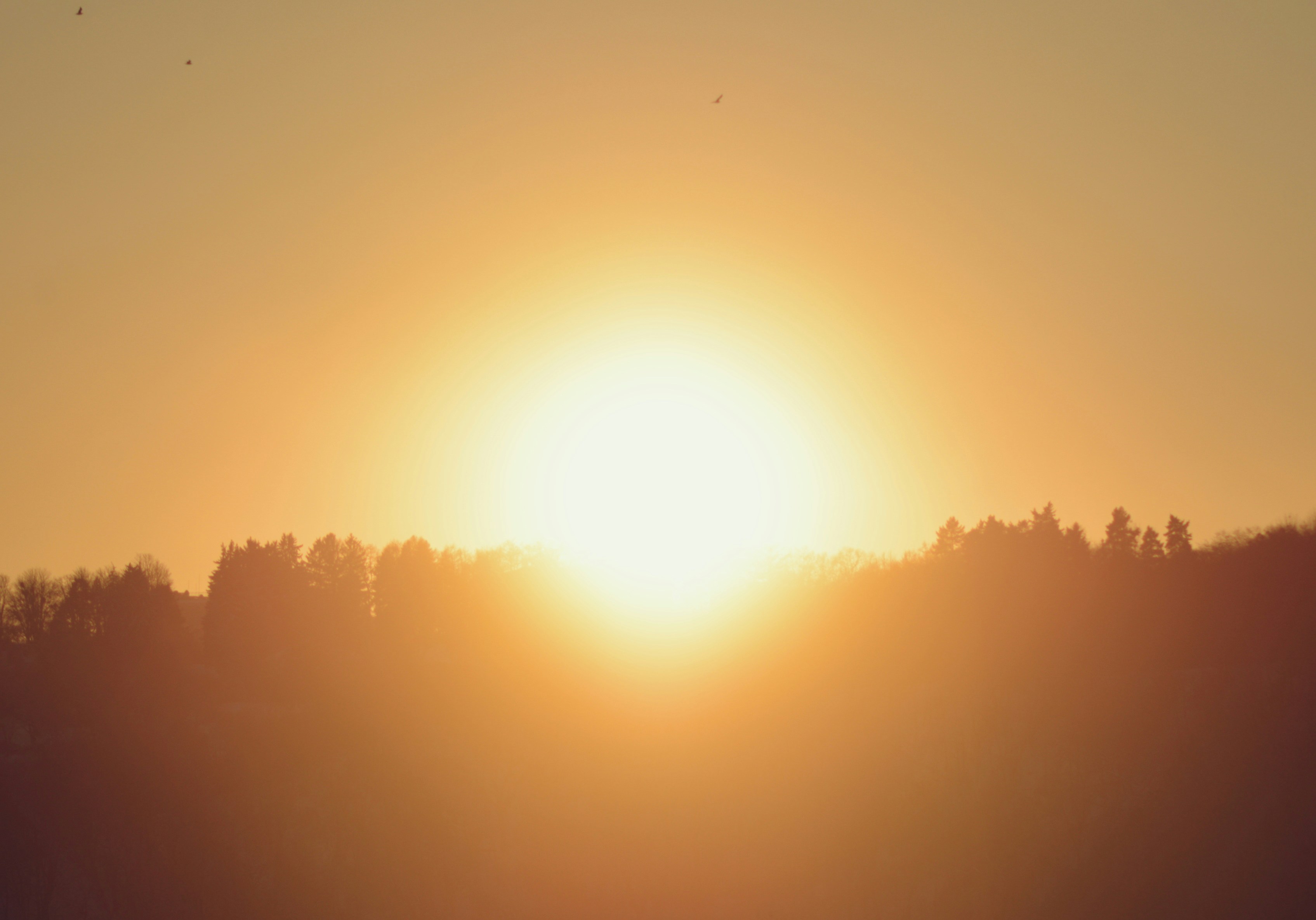 Photo by cherstve_pechivo