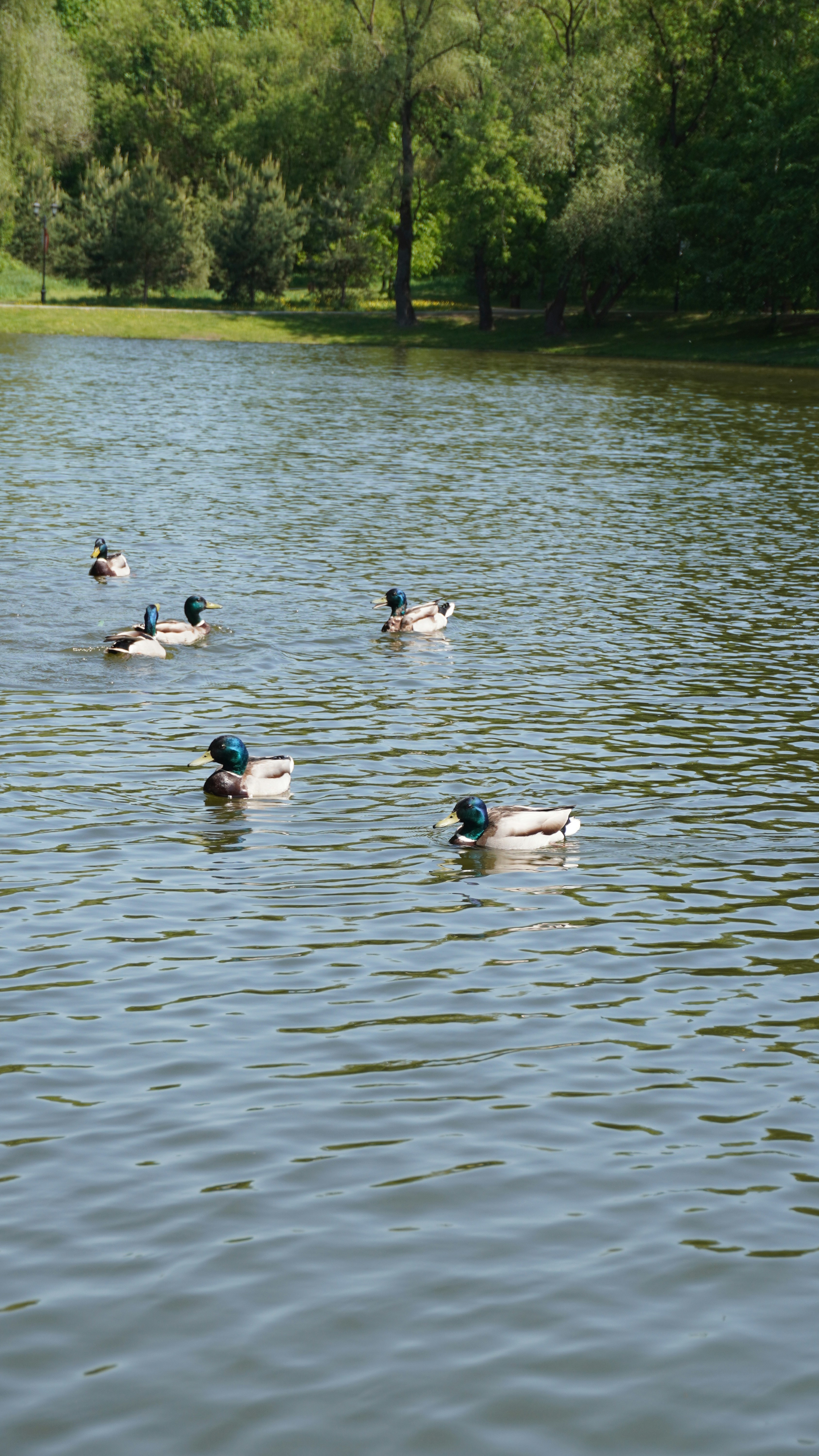 Photo by birdwatcher1