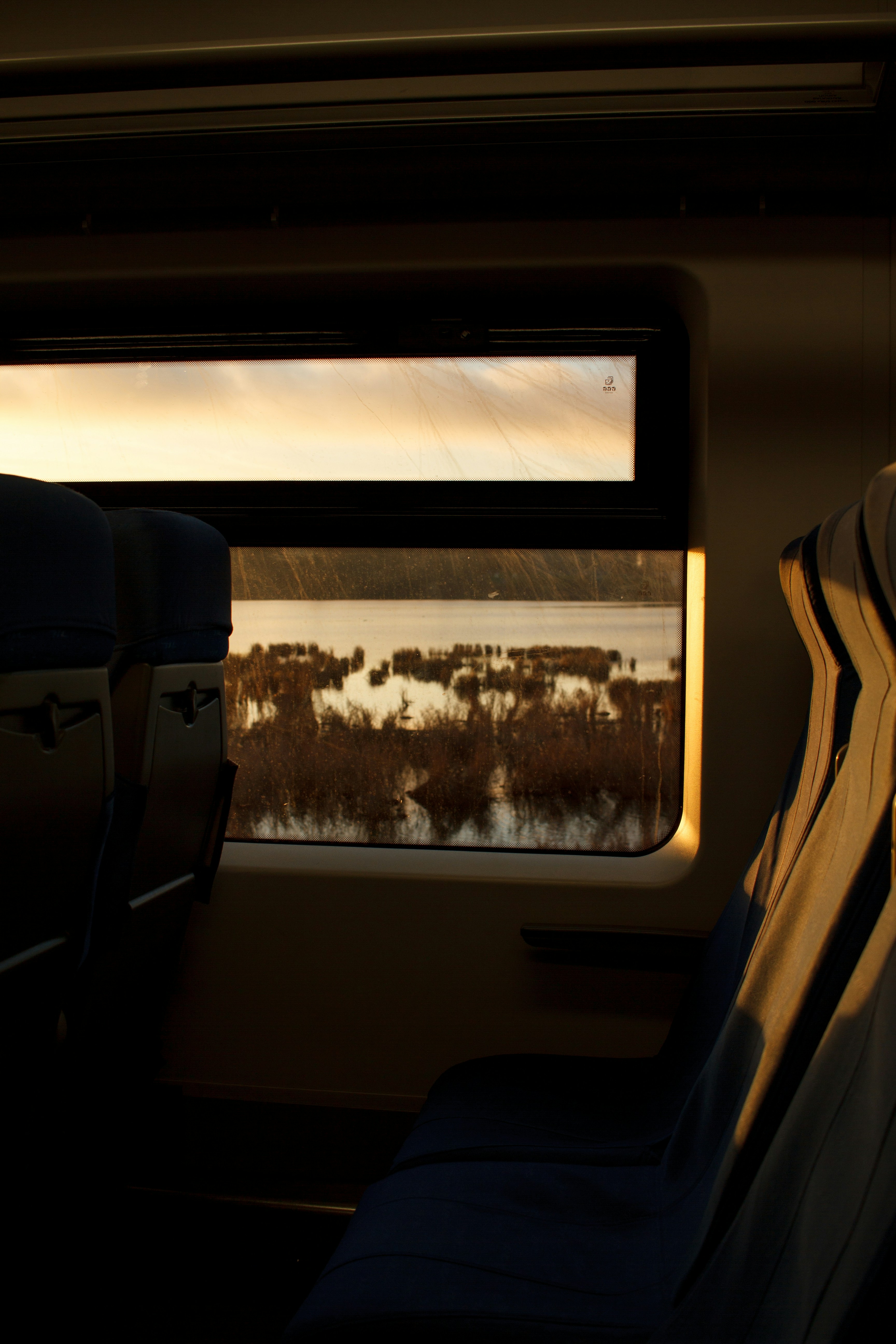 Photo by bartnewtone