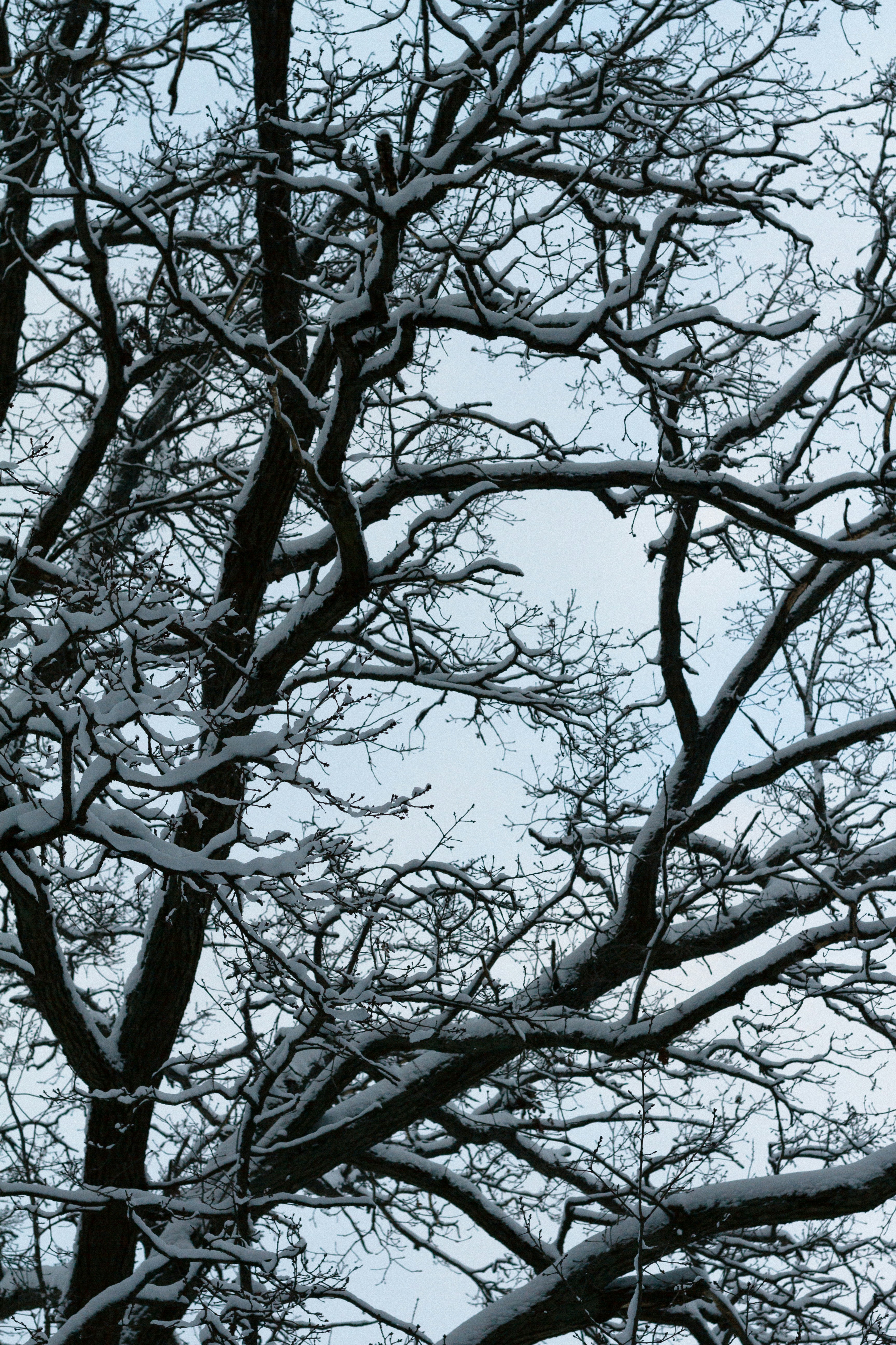 Photo by bartnewtone