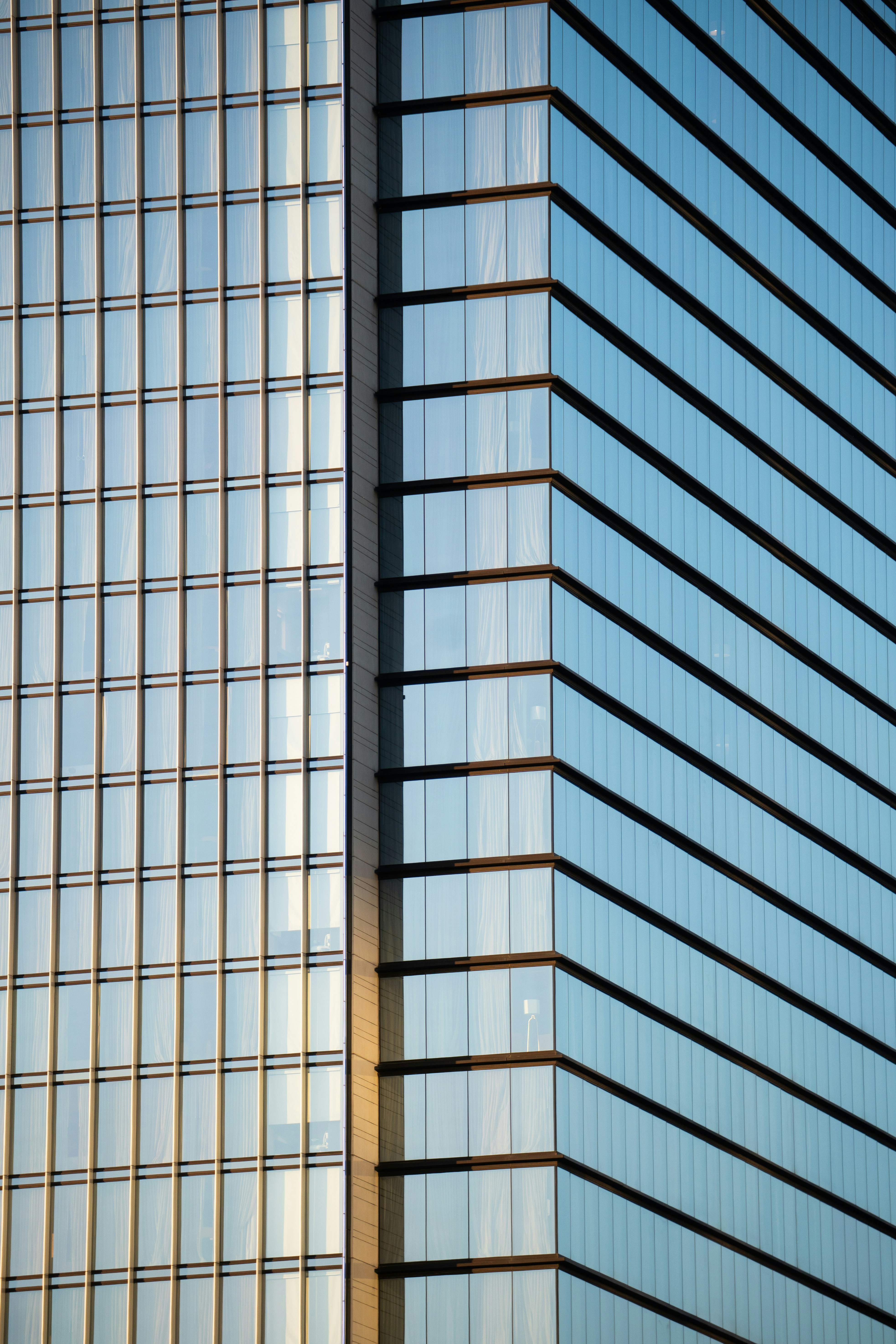 Photo by angelicateranp