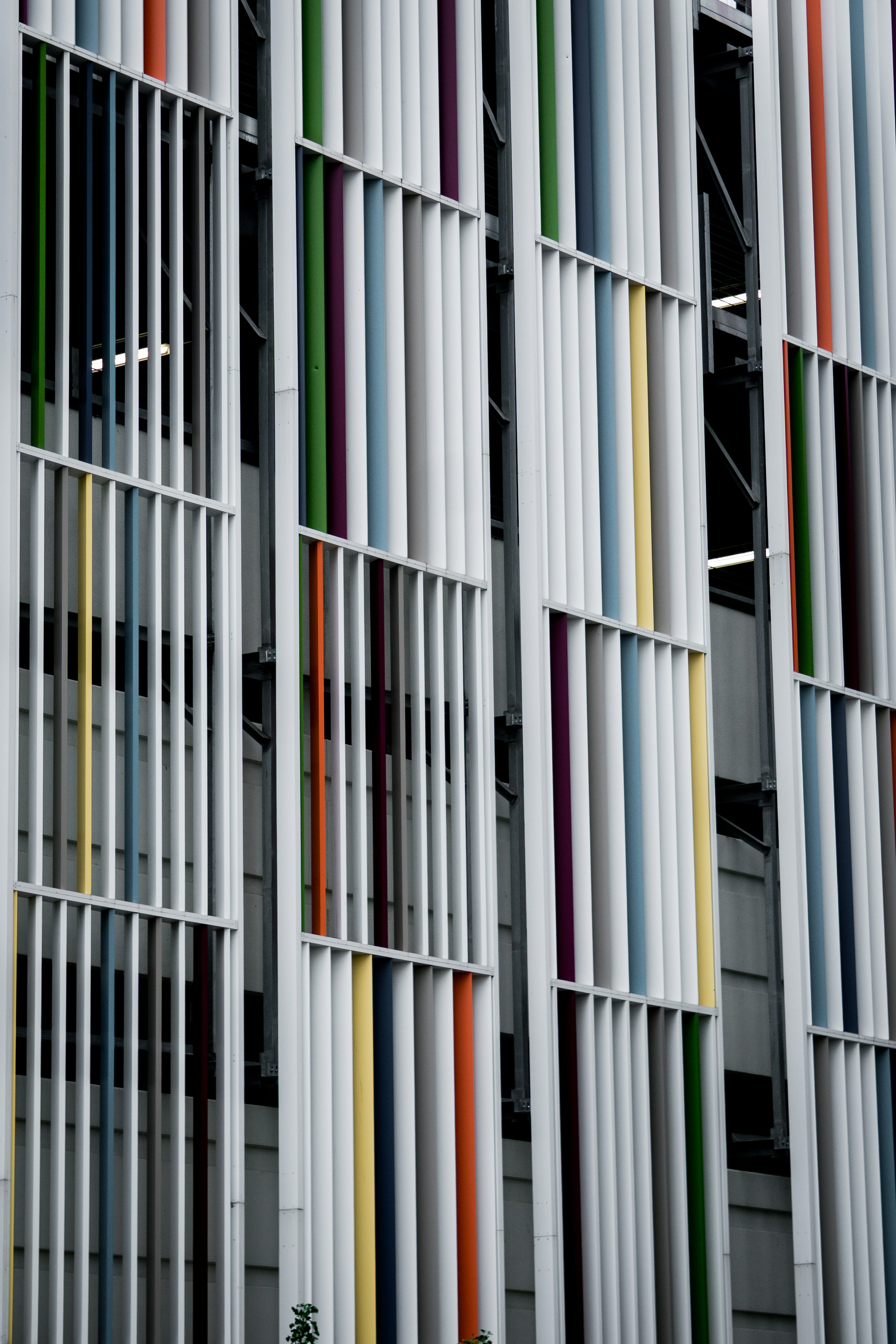 Photo by angelicateranp