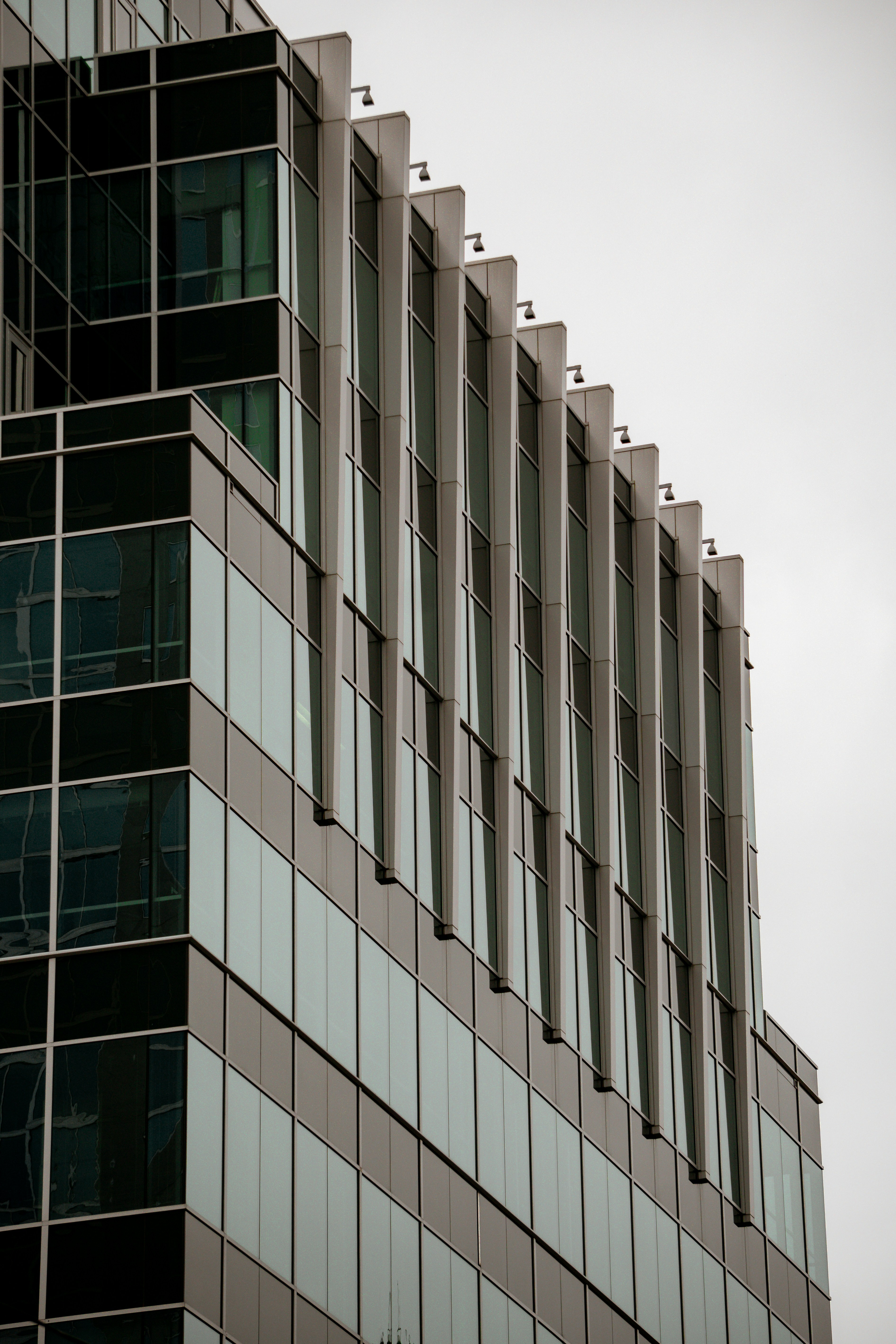 Photo by angelicateranp