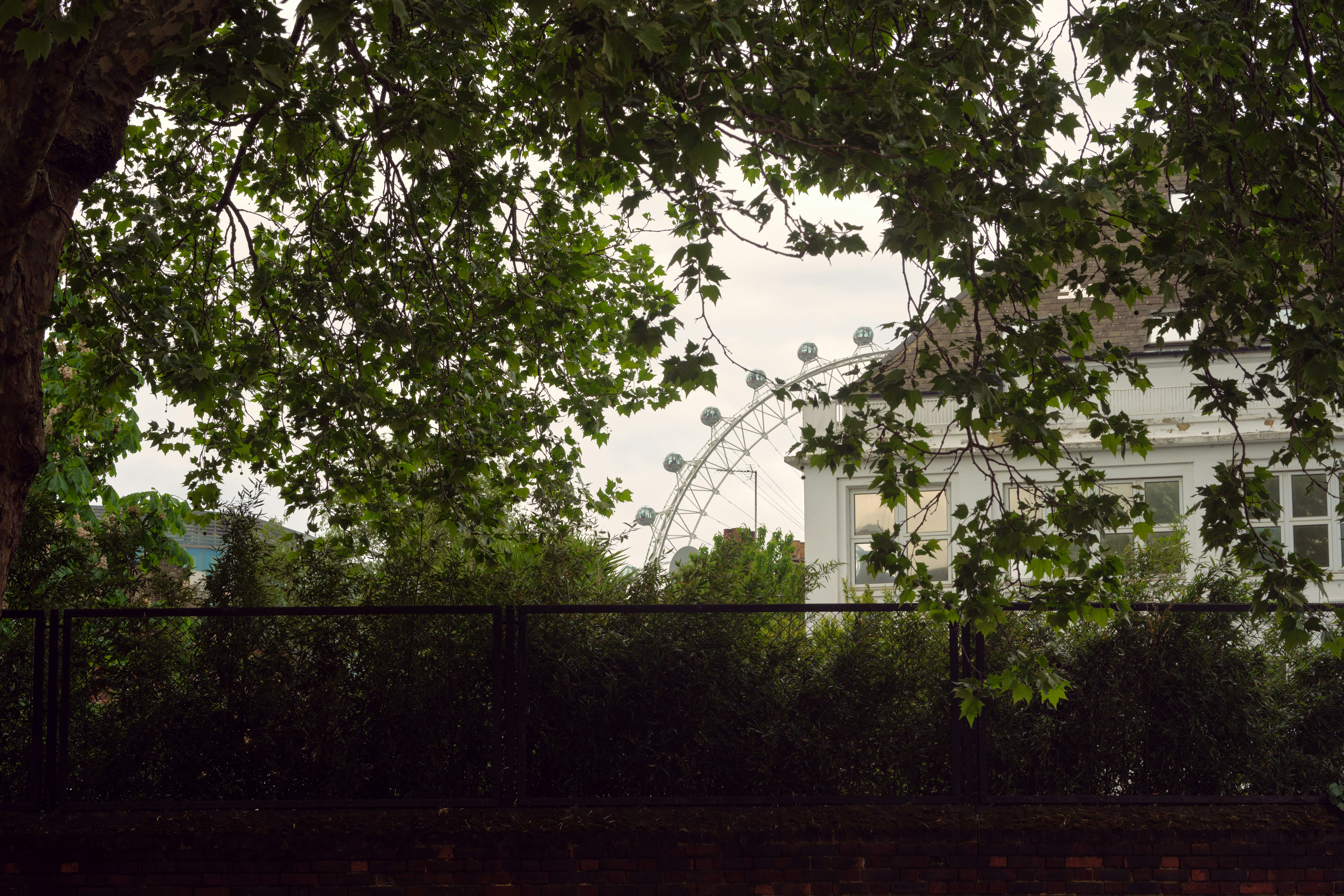 Photo by romanakash27