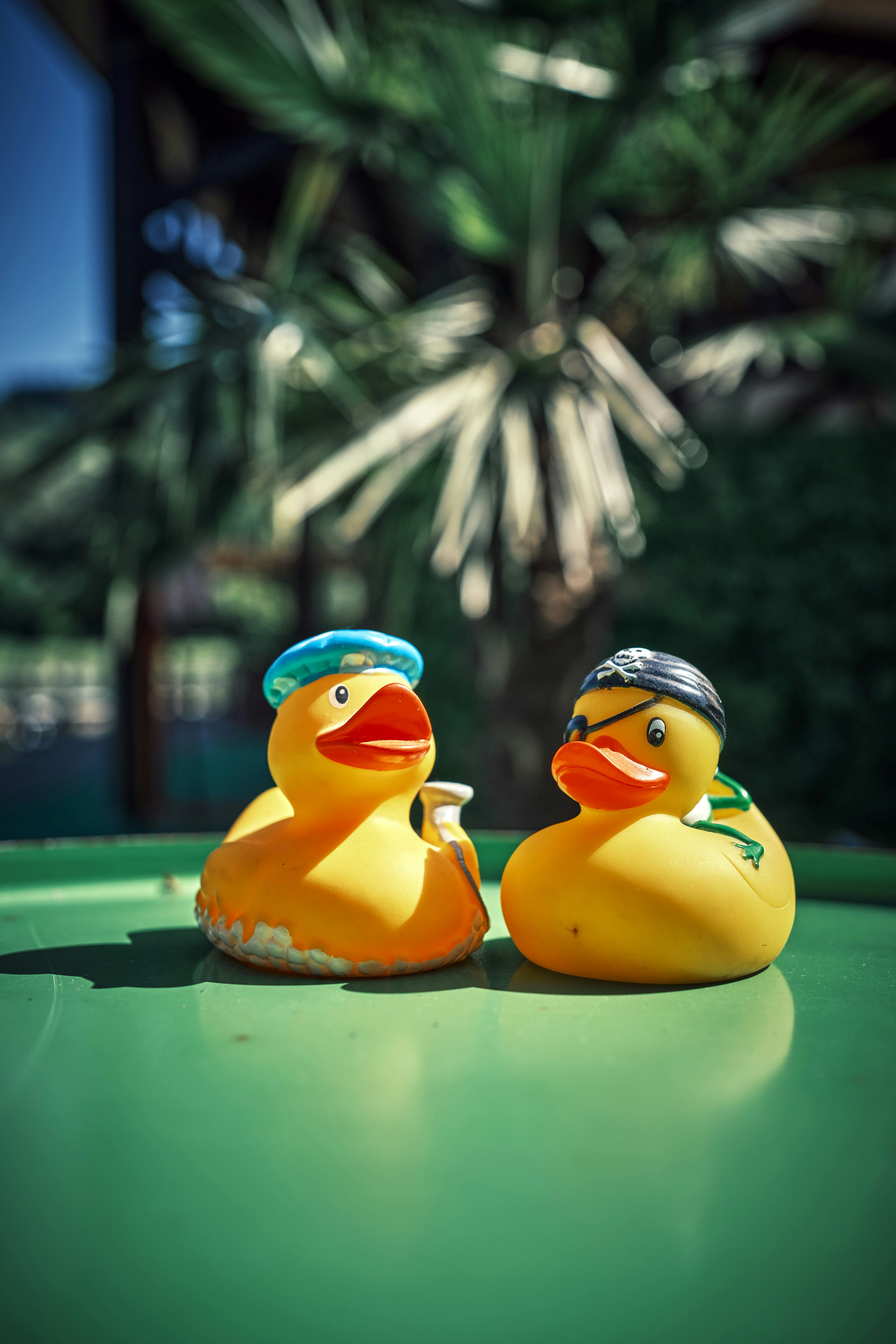 Photo by marcus_ganahl