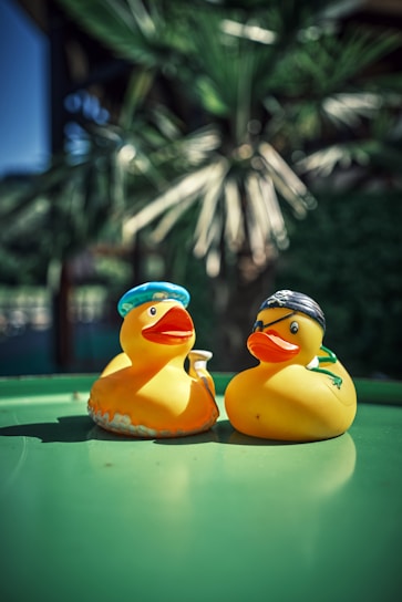 Two adorable rubber ducks dressed up.